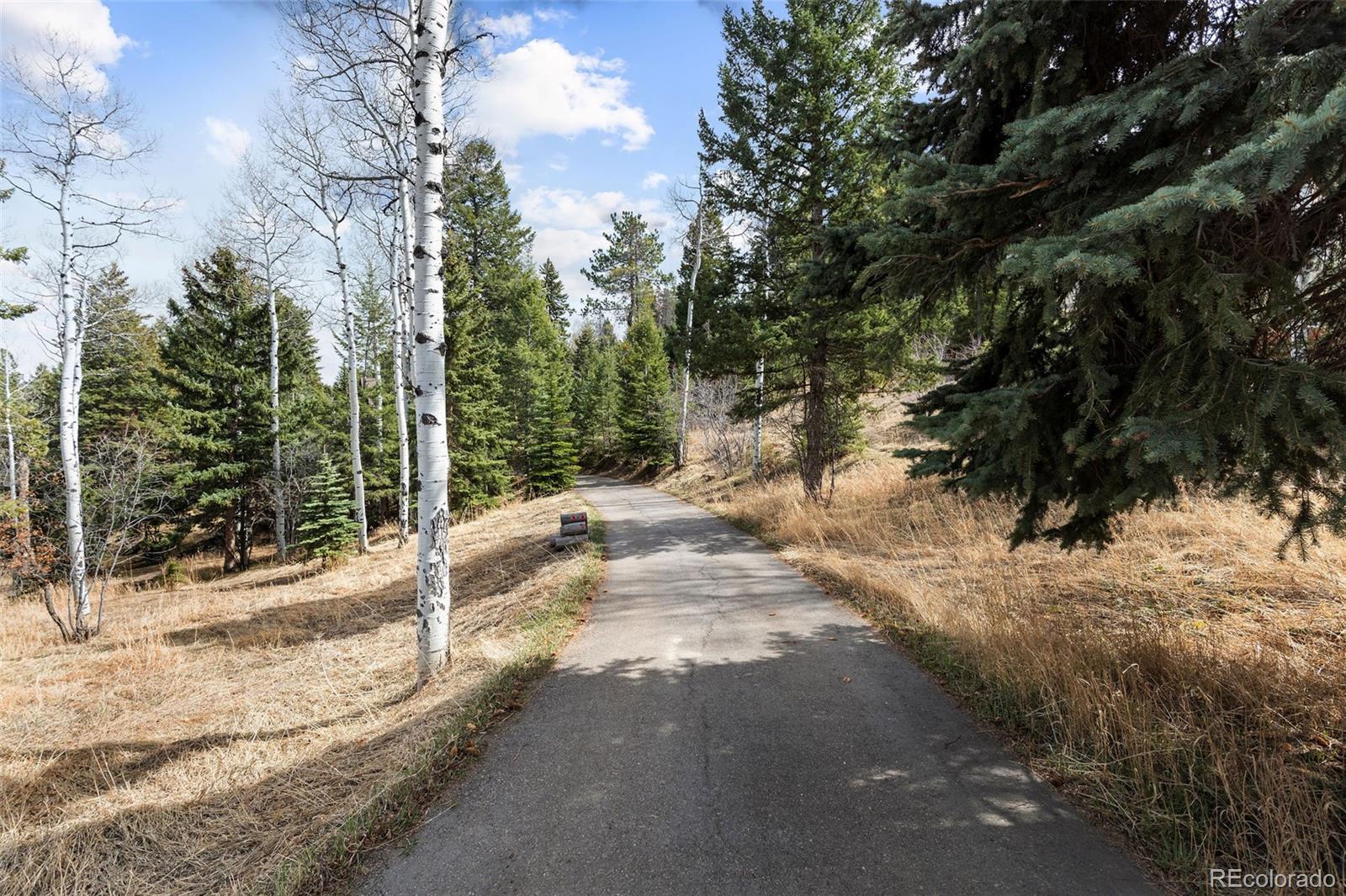 MLS Image #33 for 19184  silver ranch road,conifer, Colorado