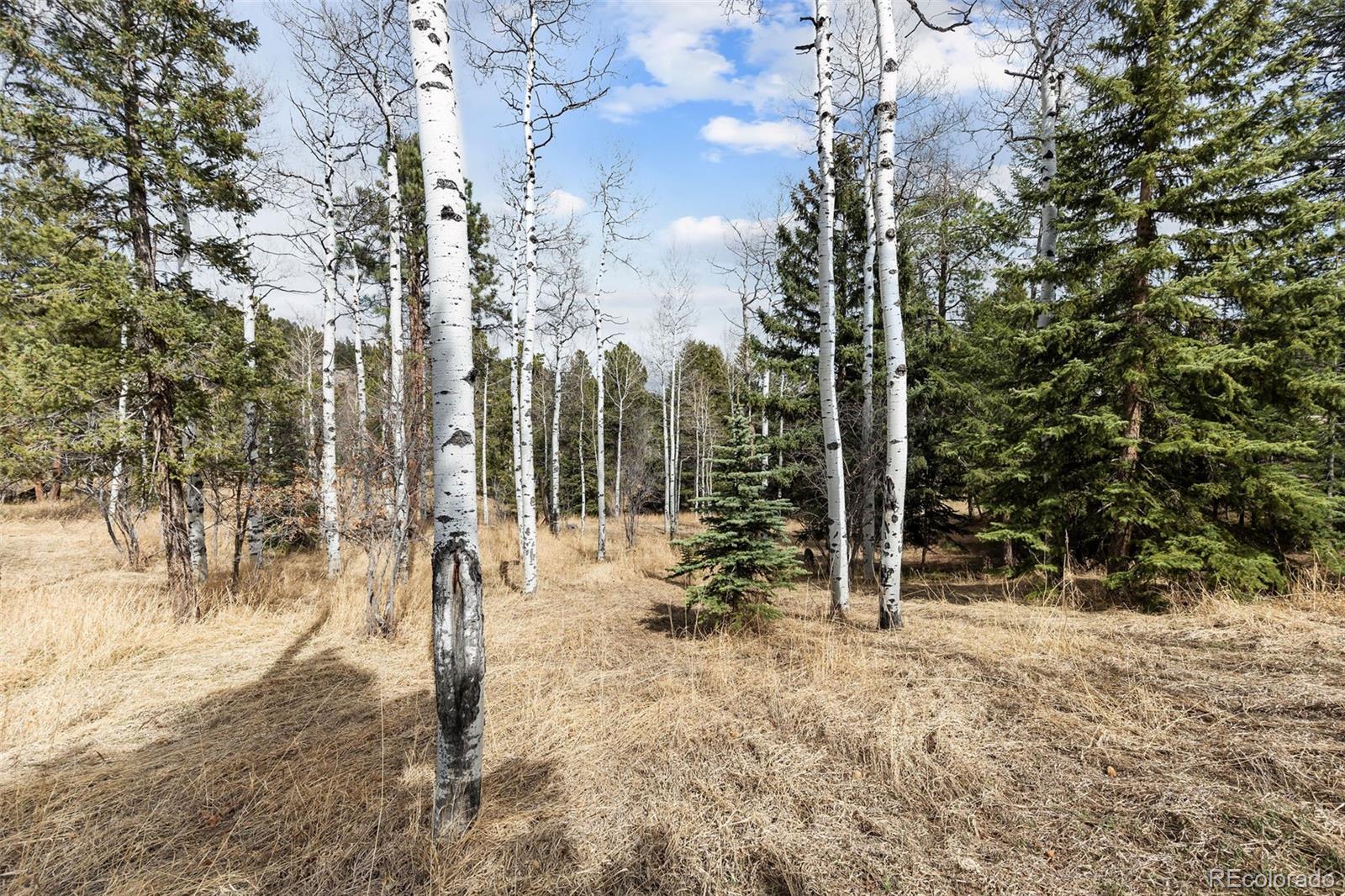 MLS Image #34 for 19184  silver ranch road,conifer, Colorado