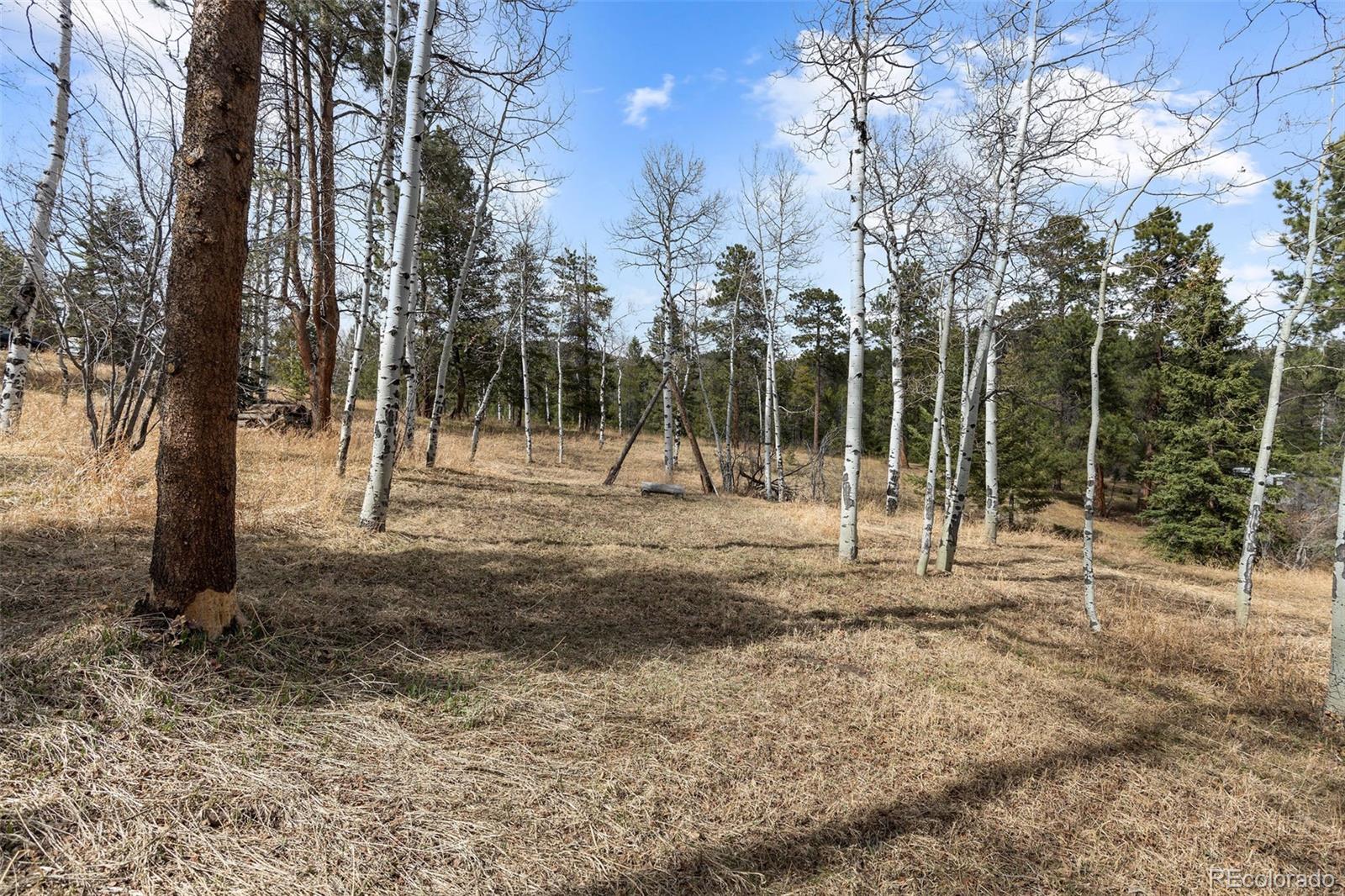 MLS Image #35 for 19184  silver ranch road,conifer, Colorado
