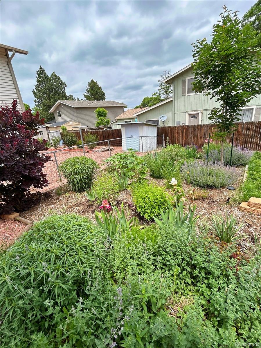 MLS Image #31 for 9312  kendall street,westminster, Colorado