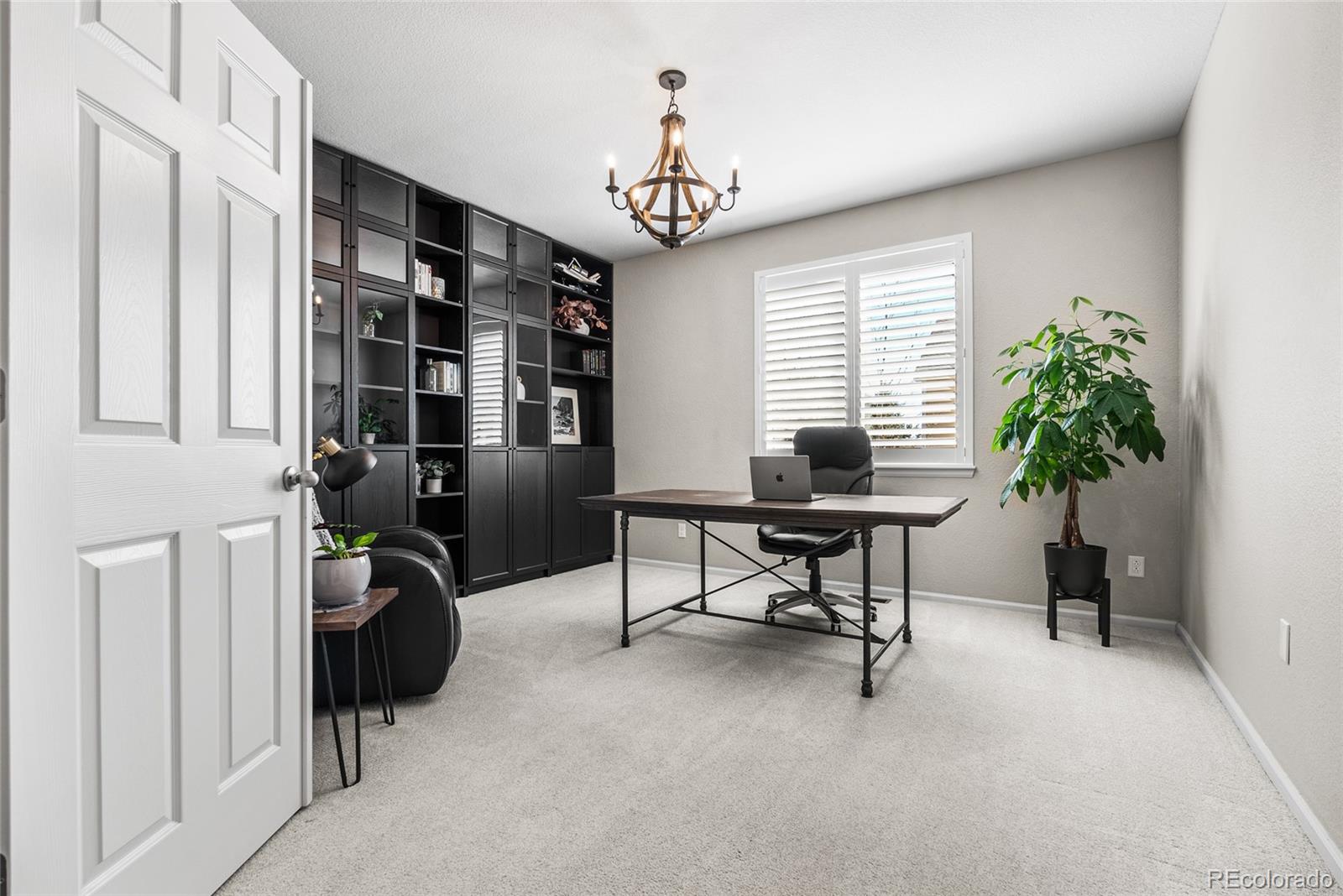 MLS Image #16 for 5803  leon young drive,colorado springs, Colorado