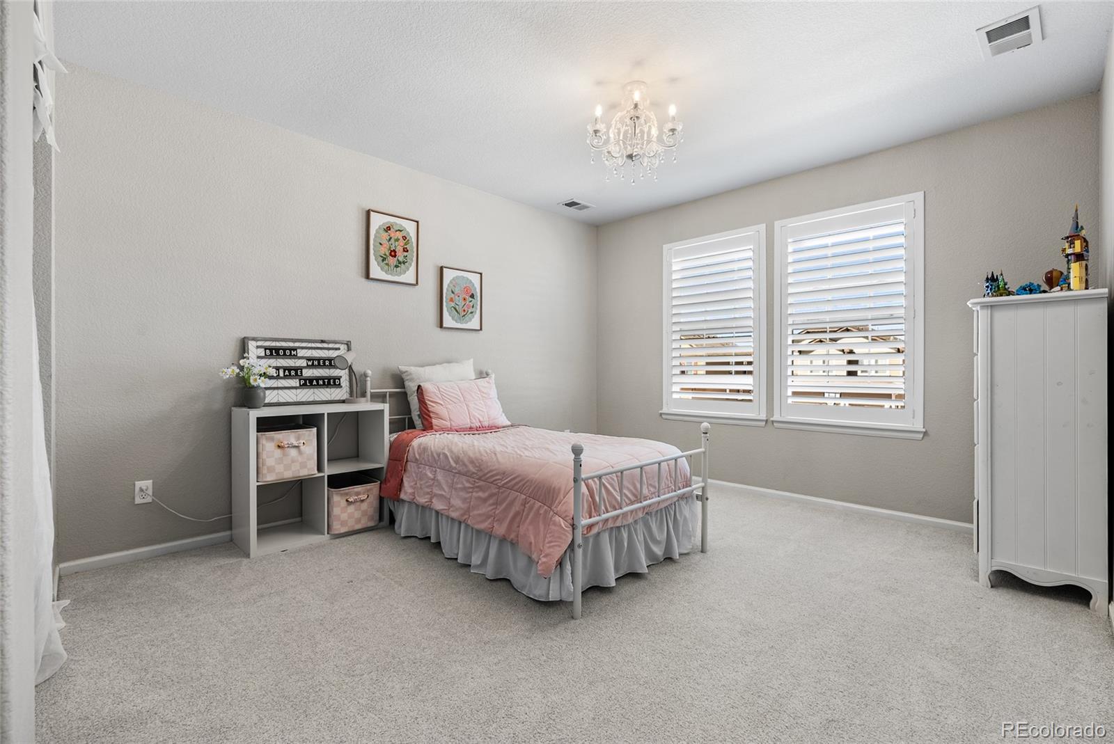 MLS Image #27 for 5803  leon young drive,colorado springs, Colorado