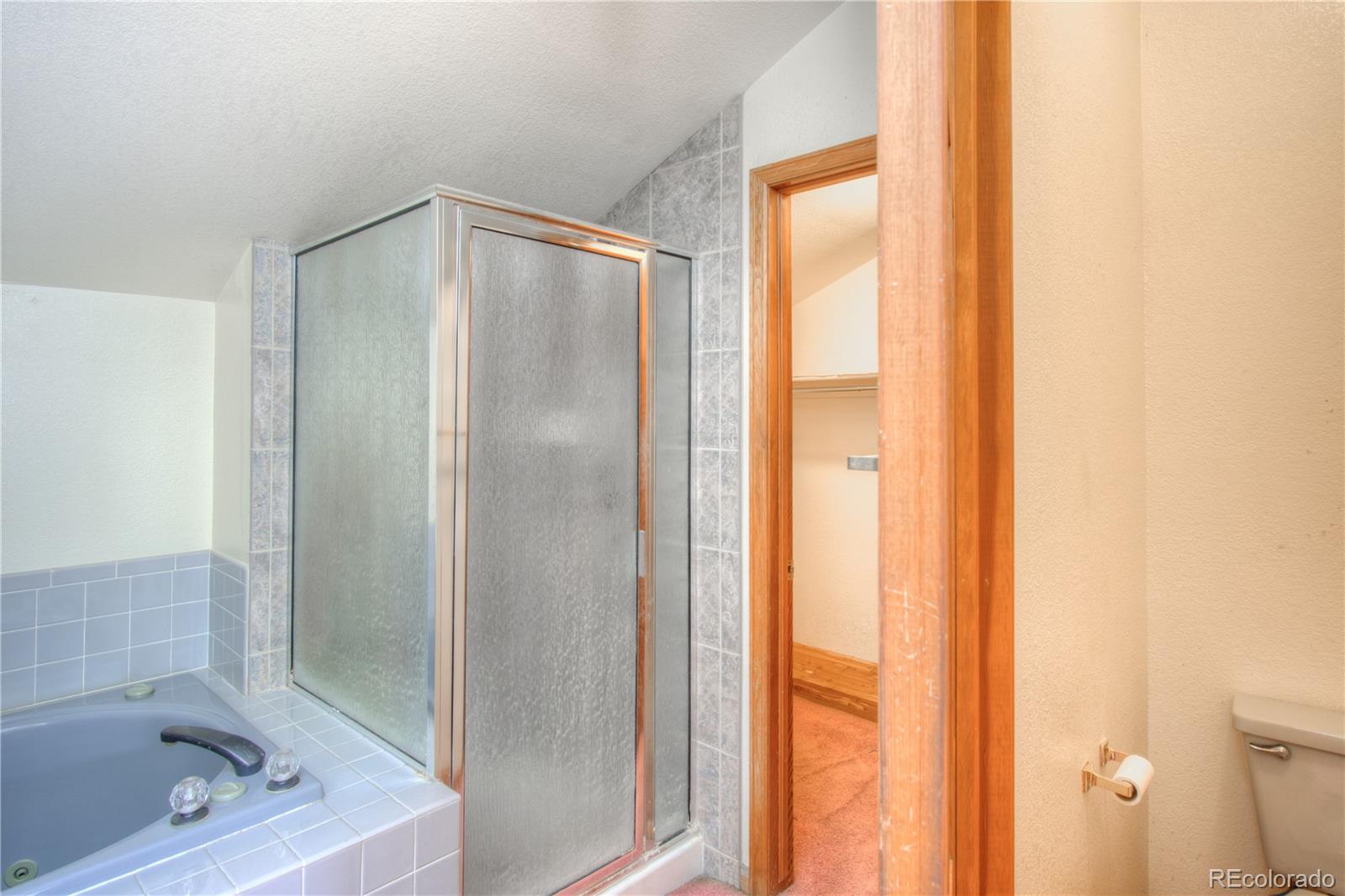 MLS Image #26 for 49  buckthorn drive,littleton, Colorado