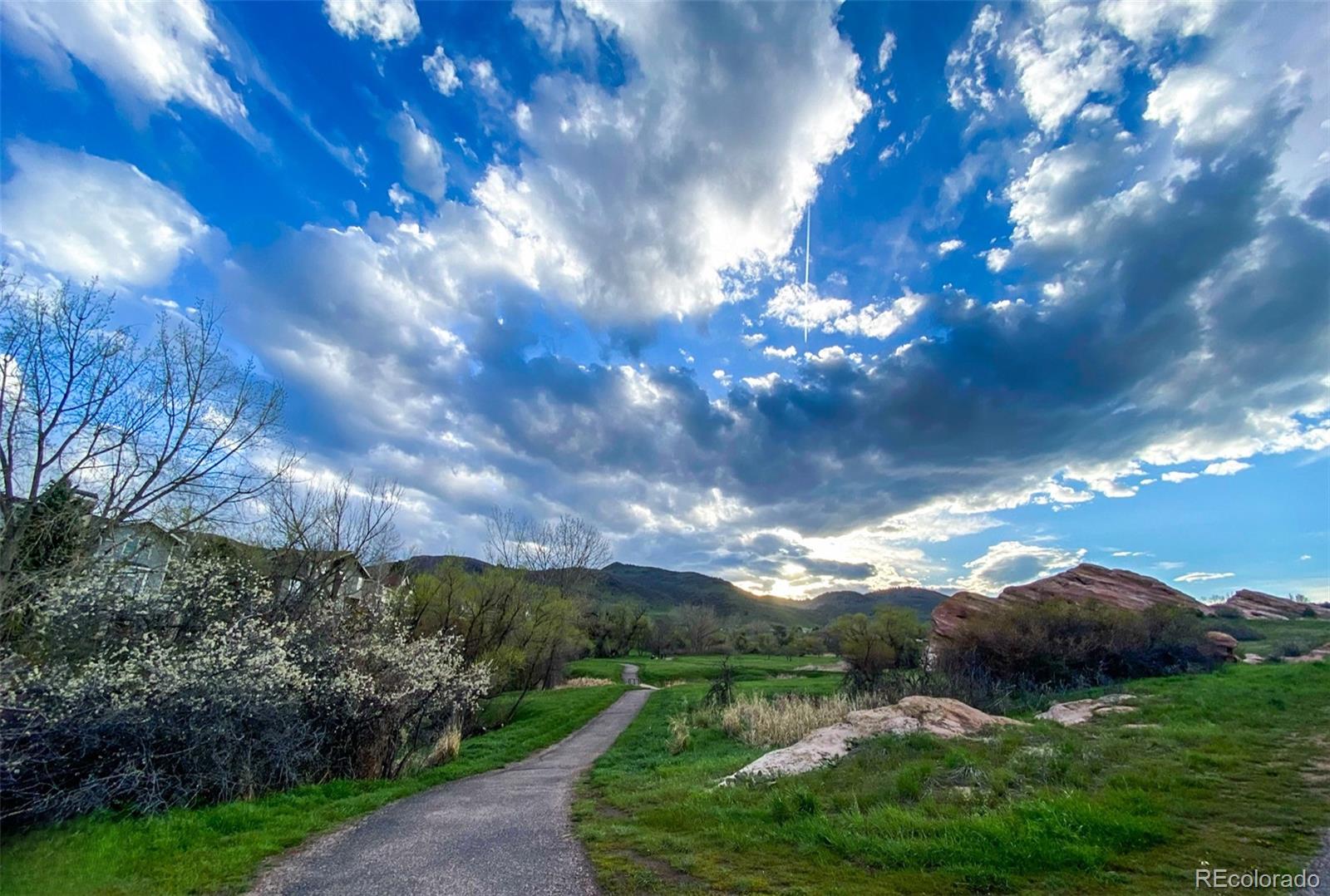 MLS Image #41 for 49  buckthorn drive,littleton, Colorado
