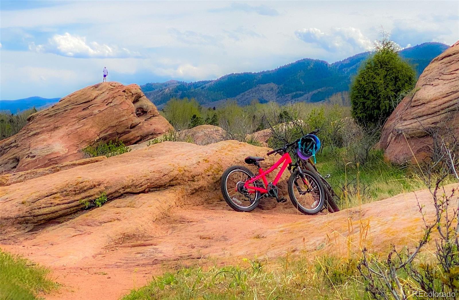 MLS Image #42 for 49  buckthorn drive,littleton, Colorado