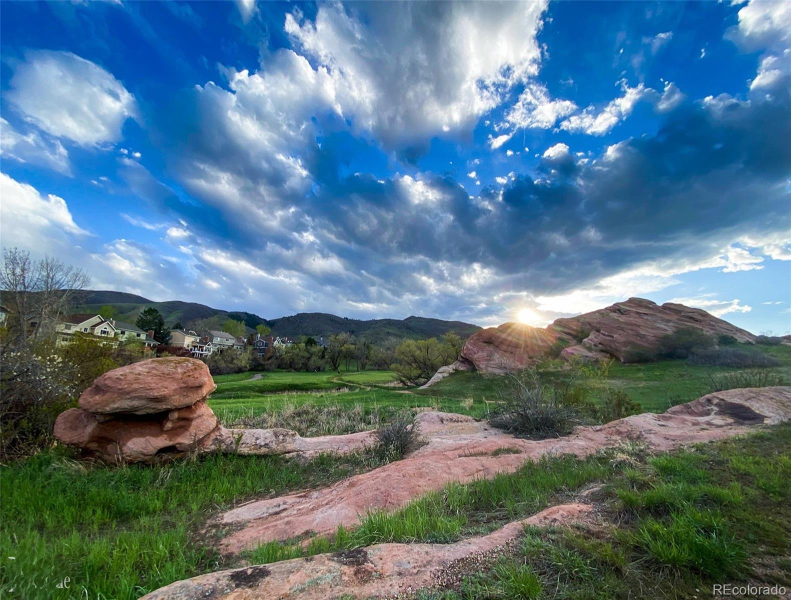 MLS Image #43 for 49  buckthorn drive,littleton, Colorado
