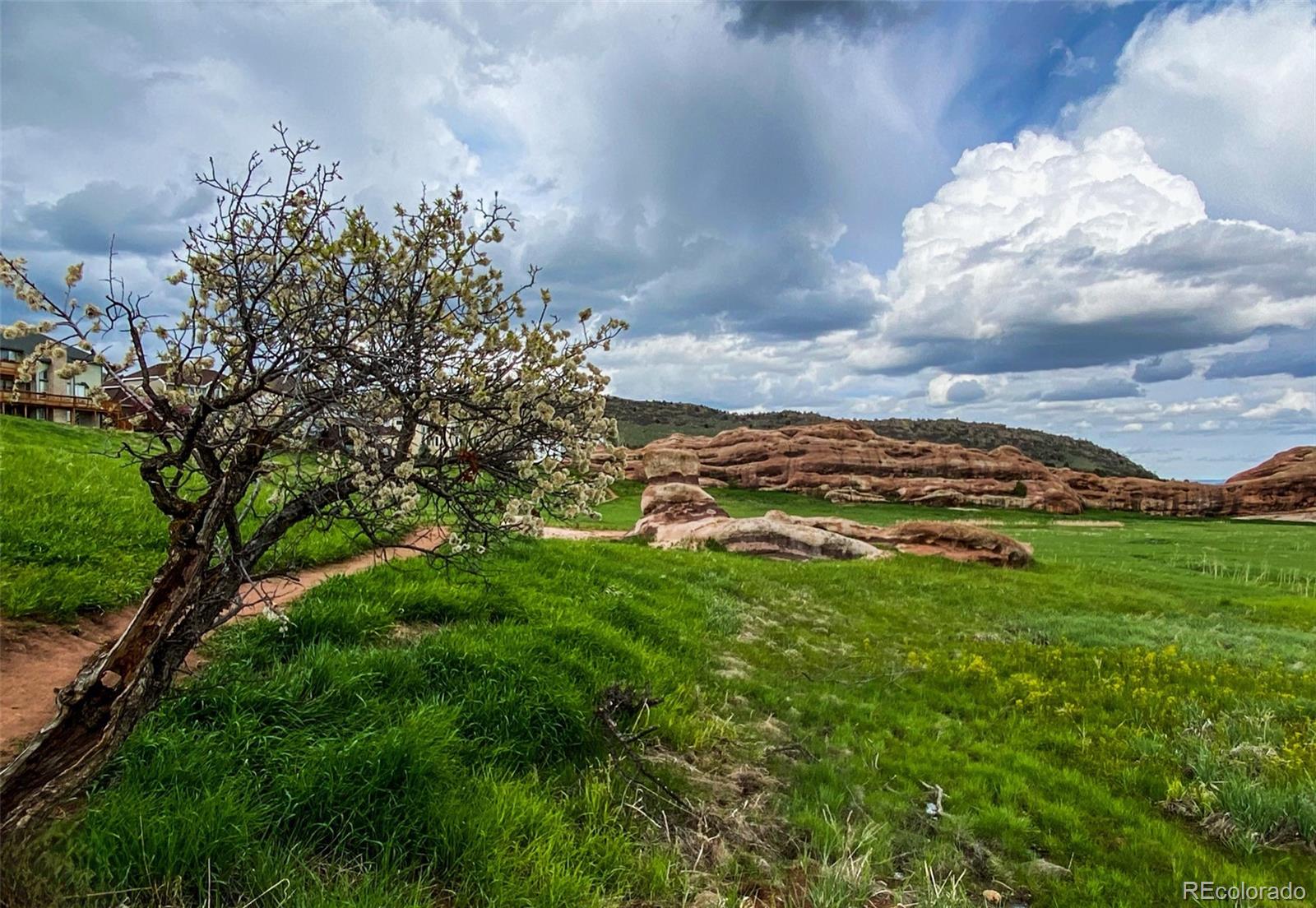 MLS Image #44 for 49  buckthorn drive,littleton, Colorado