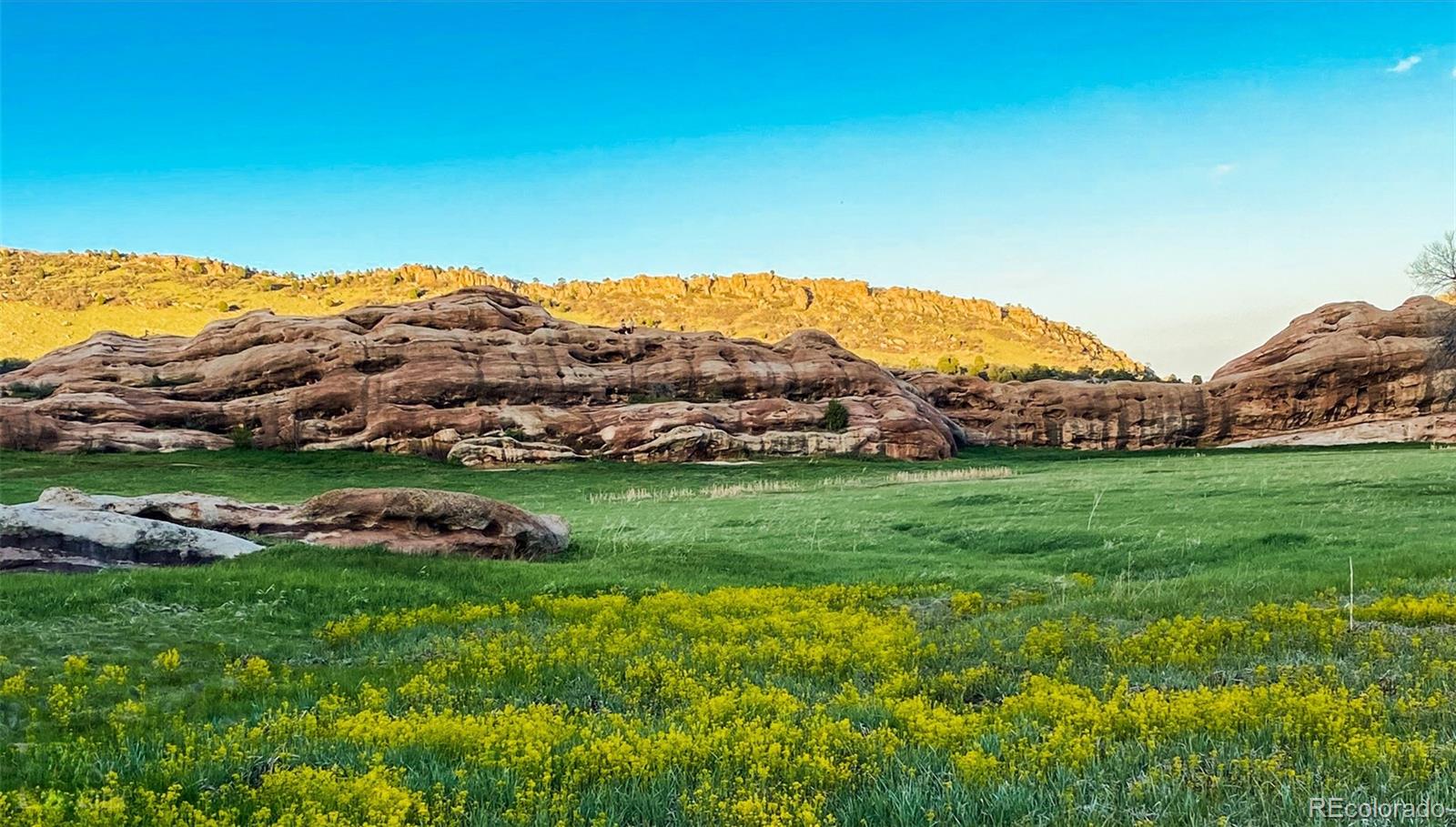 MLS Image #45 for 49  buckthorn drive,littleton, Colorado