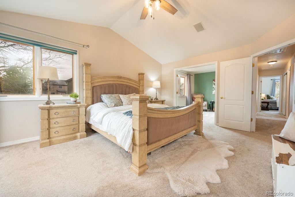MLS Image #19 for 9724  red oakes place,highlands ranch, Colorado