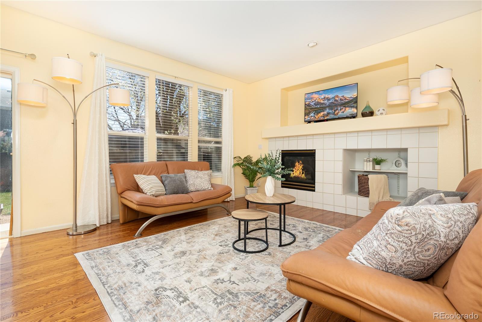 MLS Image #10 for 1700  spring water lane,highlands ranch, Colorado