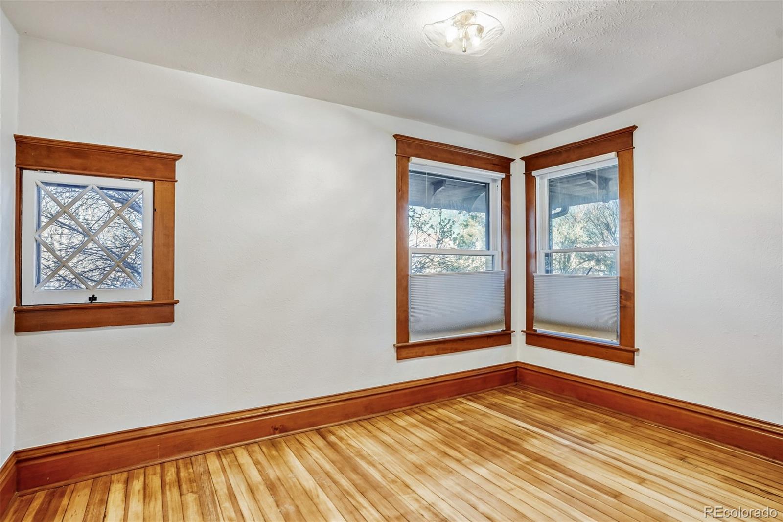 MLS Image #14 for 3036  newton street,denver, Colorado