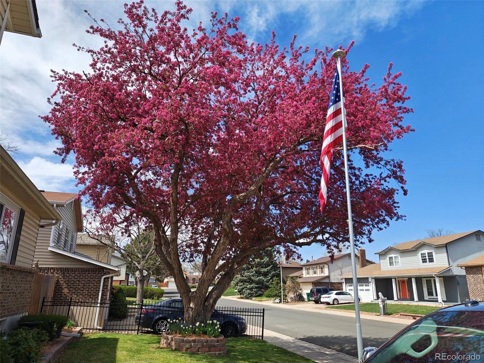 MLS Image #2 for 6122 w 113th avenue,westminster, Colorado