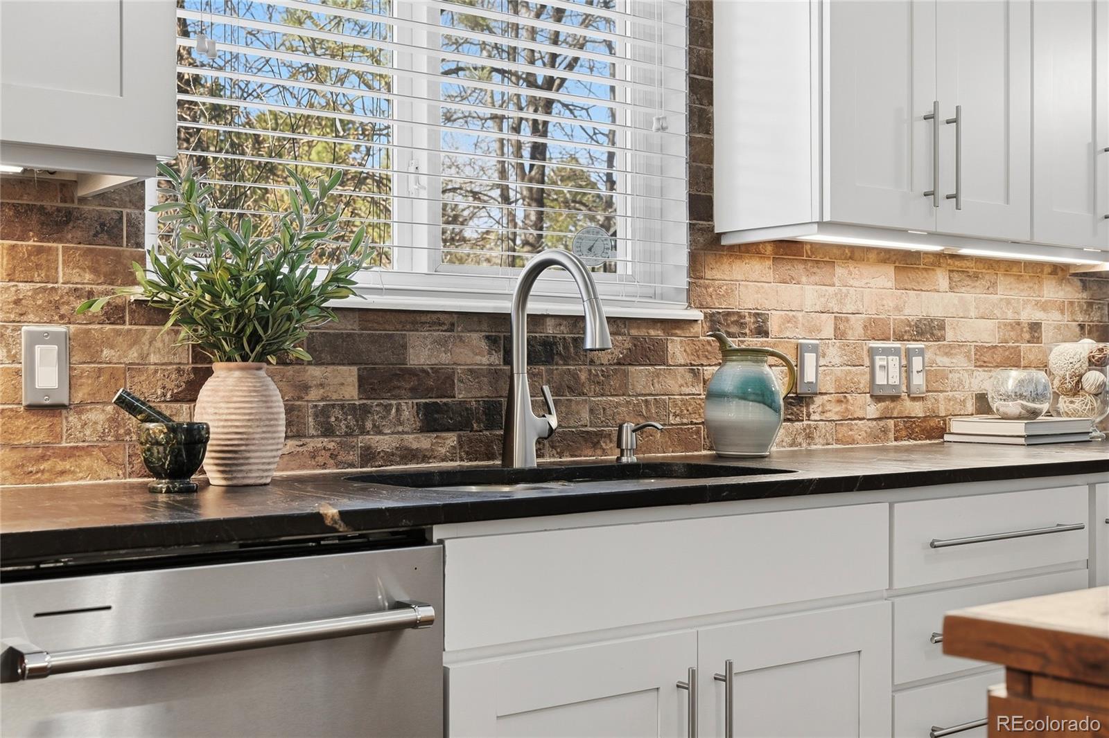 MLS Image #12 for 6363  donner circle,parker, Colorado