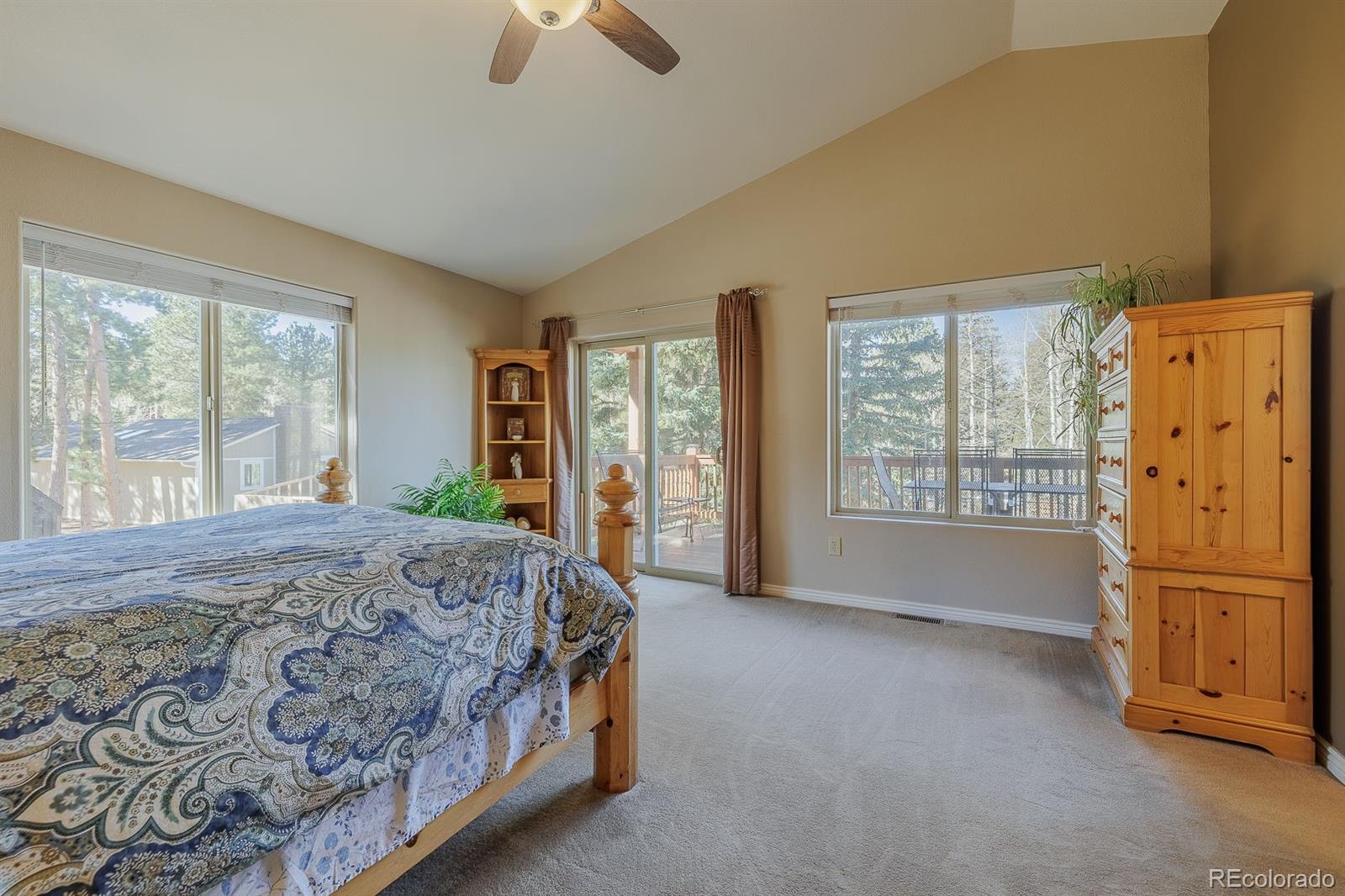 MLS Image #13 for 1505  sunshine circle,woodland park, Colorado