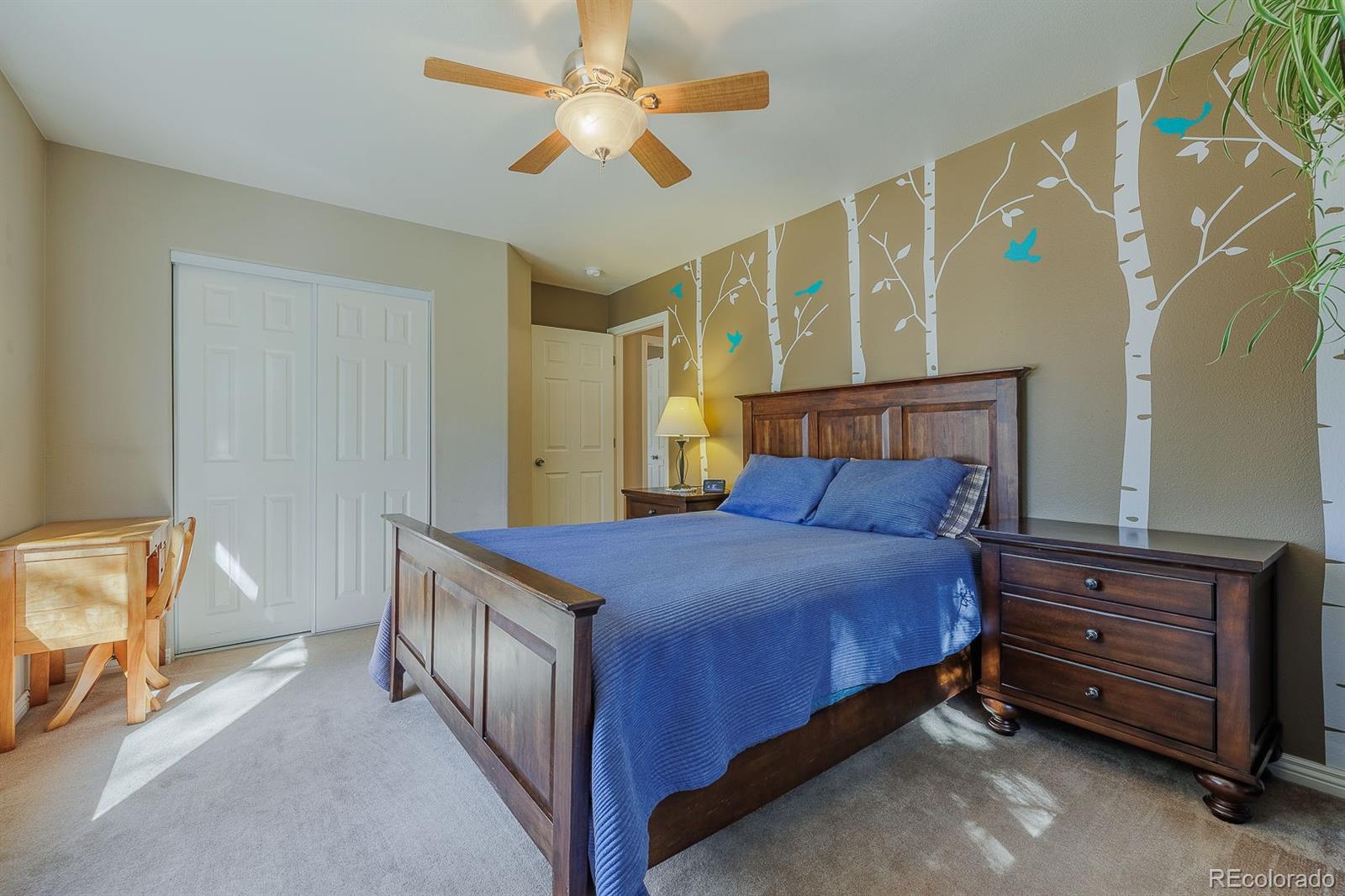 MLS Image #18 for 1505  sunshine circle,woodland park, Colorado