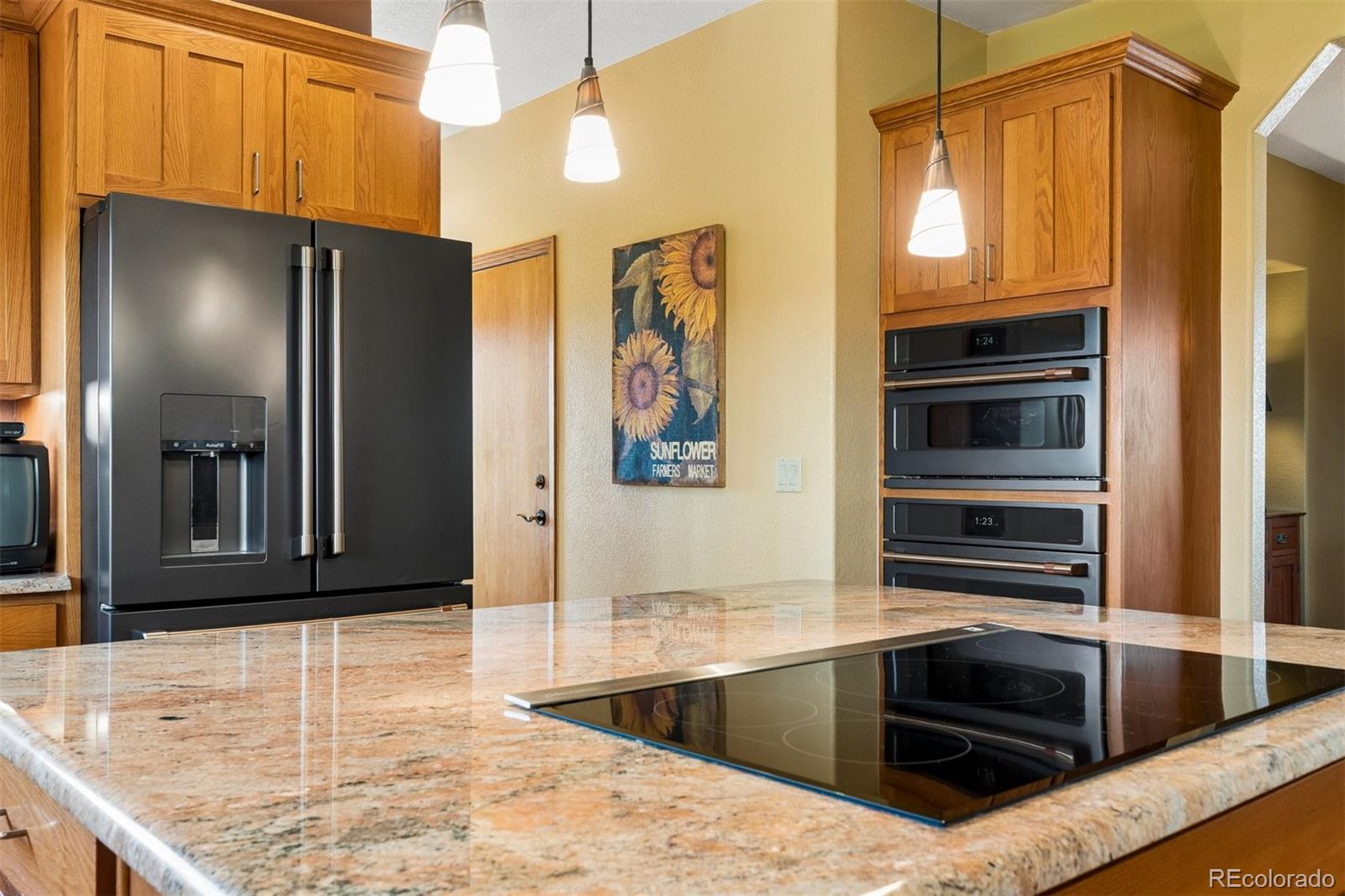 MLS Image #11 for 3578  bear canyon circle,sedalia, Colorado
