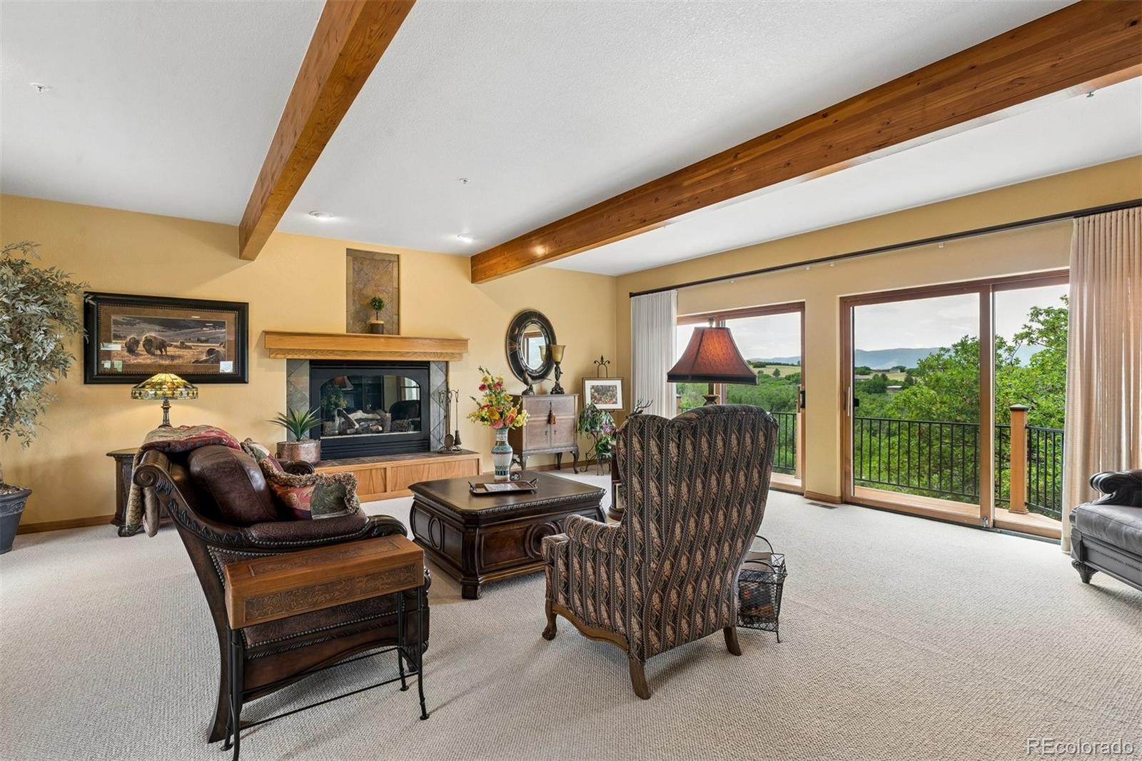 MLS Image #6 for 3578  bear canyon circle,sedalia, Colorado
