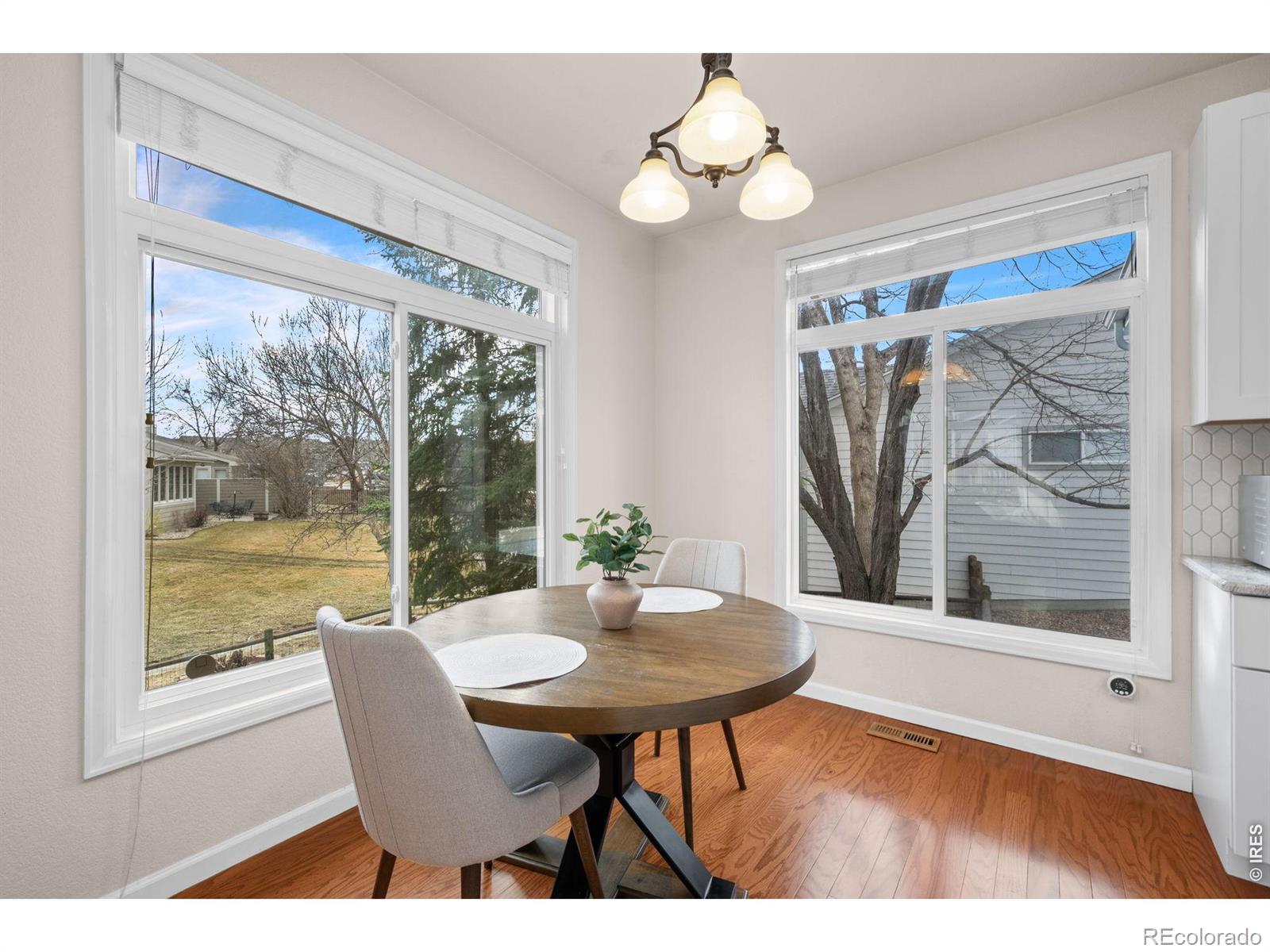 MLS Image #20 for 1107  canvasback drive,fort collins, Colorado