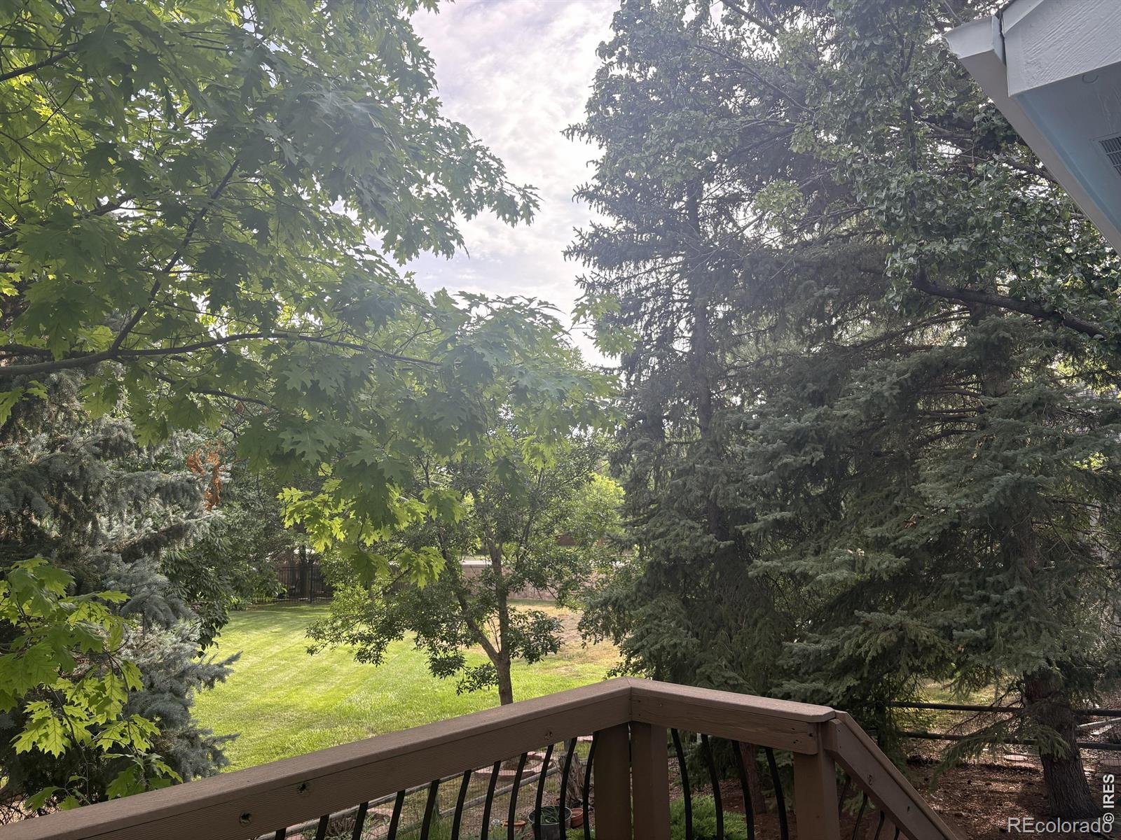 MLS Image #38 for 1107  canvasback drive,fort collins, Colorado