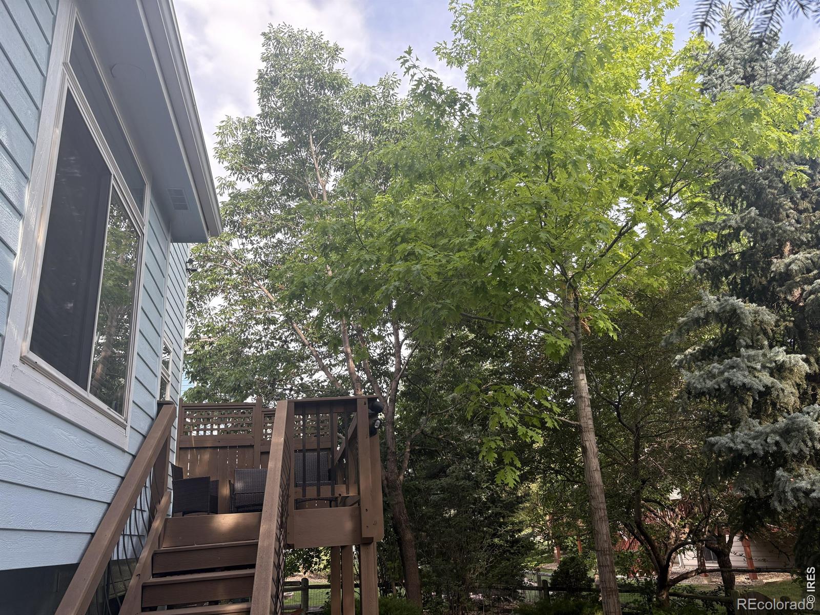 MLS Image #40 for 1107  canvasback drive,fort collins, Colorado