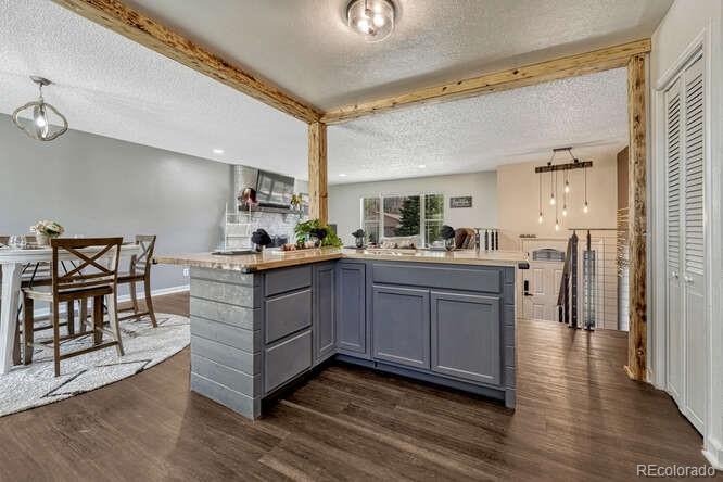 MLS Image #12 for 303  gordon drive,castle rock, Colorado