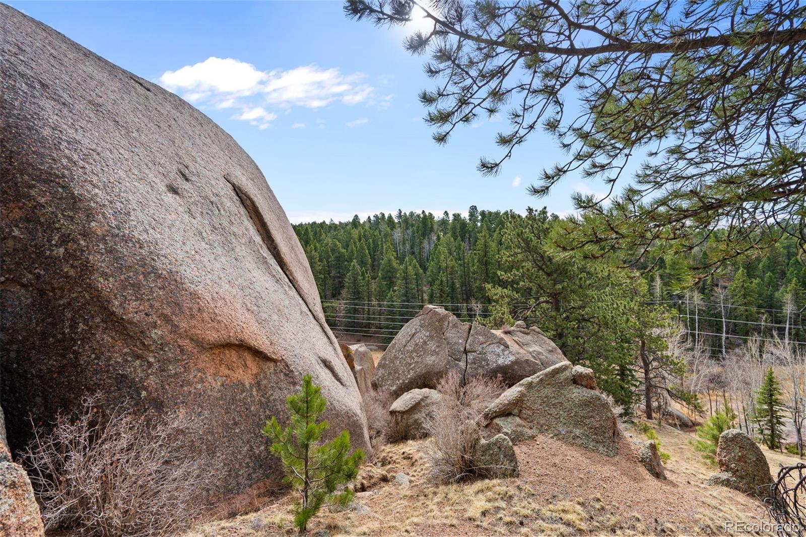 MLS Image #14 for 553  arrowhead road,florissant, Colorado