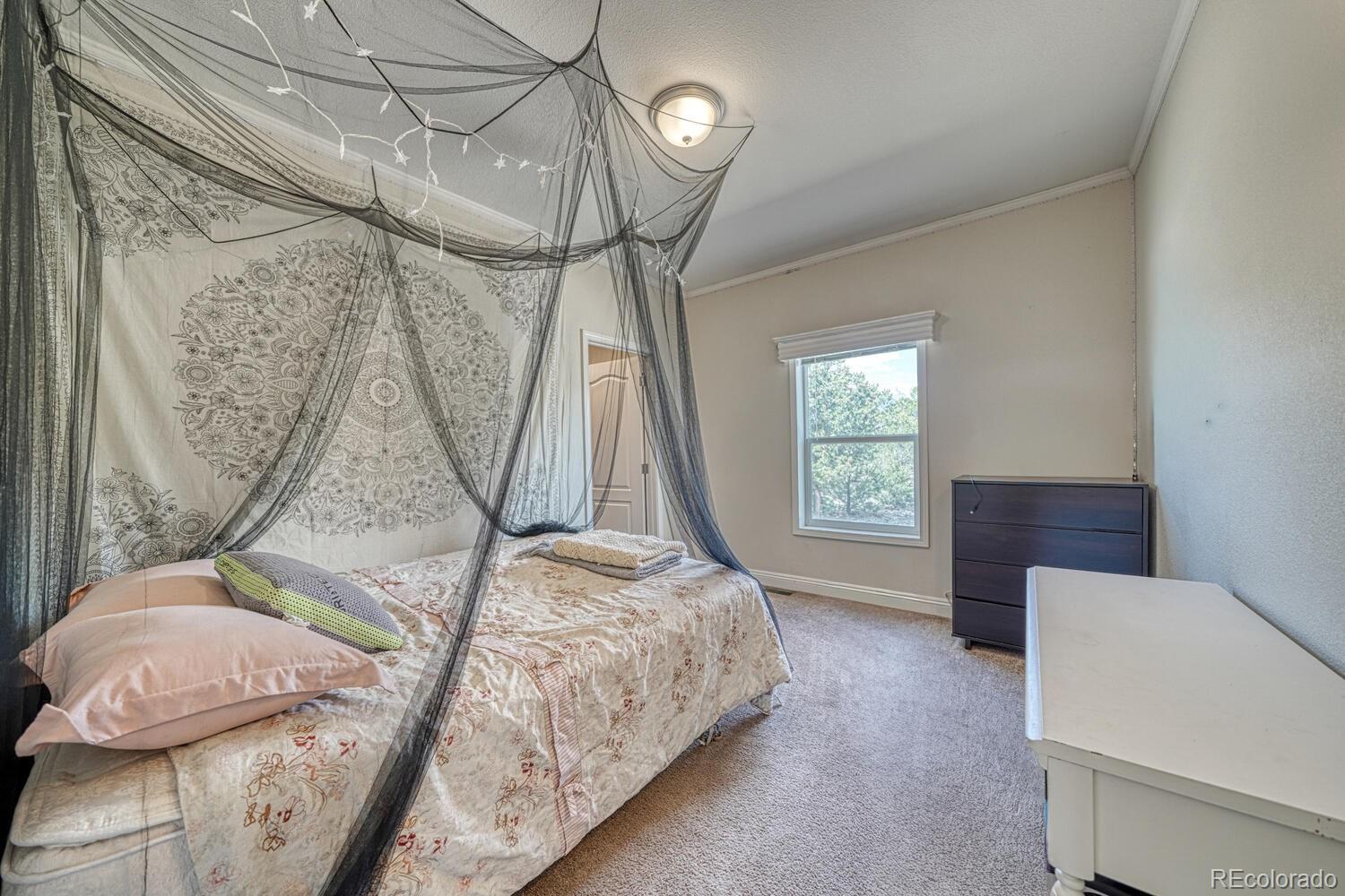 MLS Image #24 for 14124  county road 162 ,nathrop, Colorado