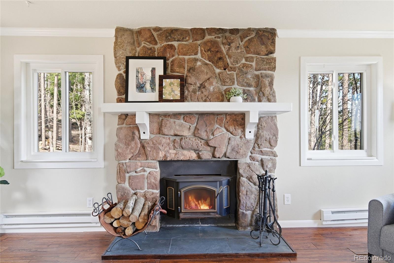 MLS Image #14 for 150  cedar road,evergreen, Colorado