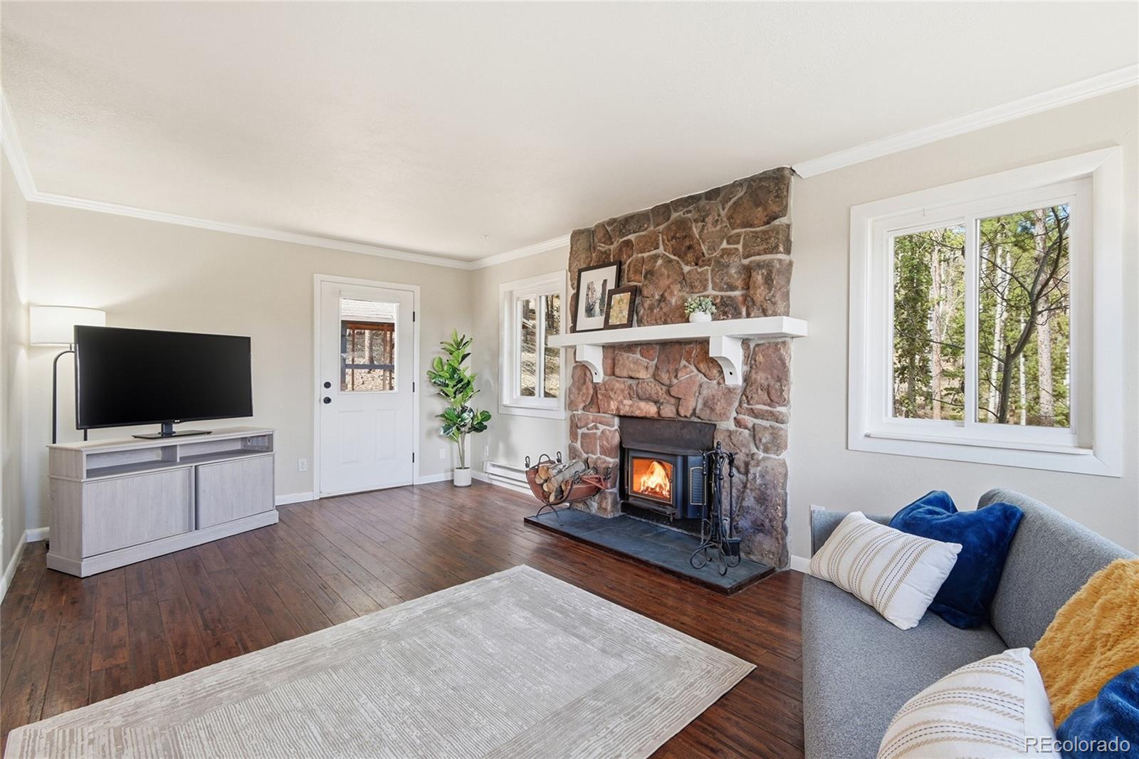 MLS Image #16 for 150  cedar road,evergreen, Colorado