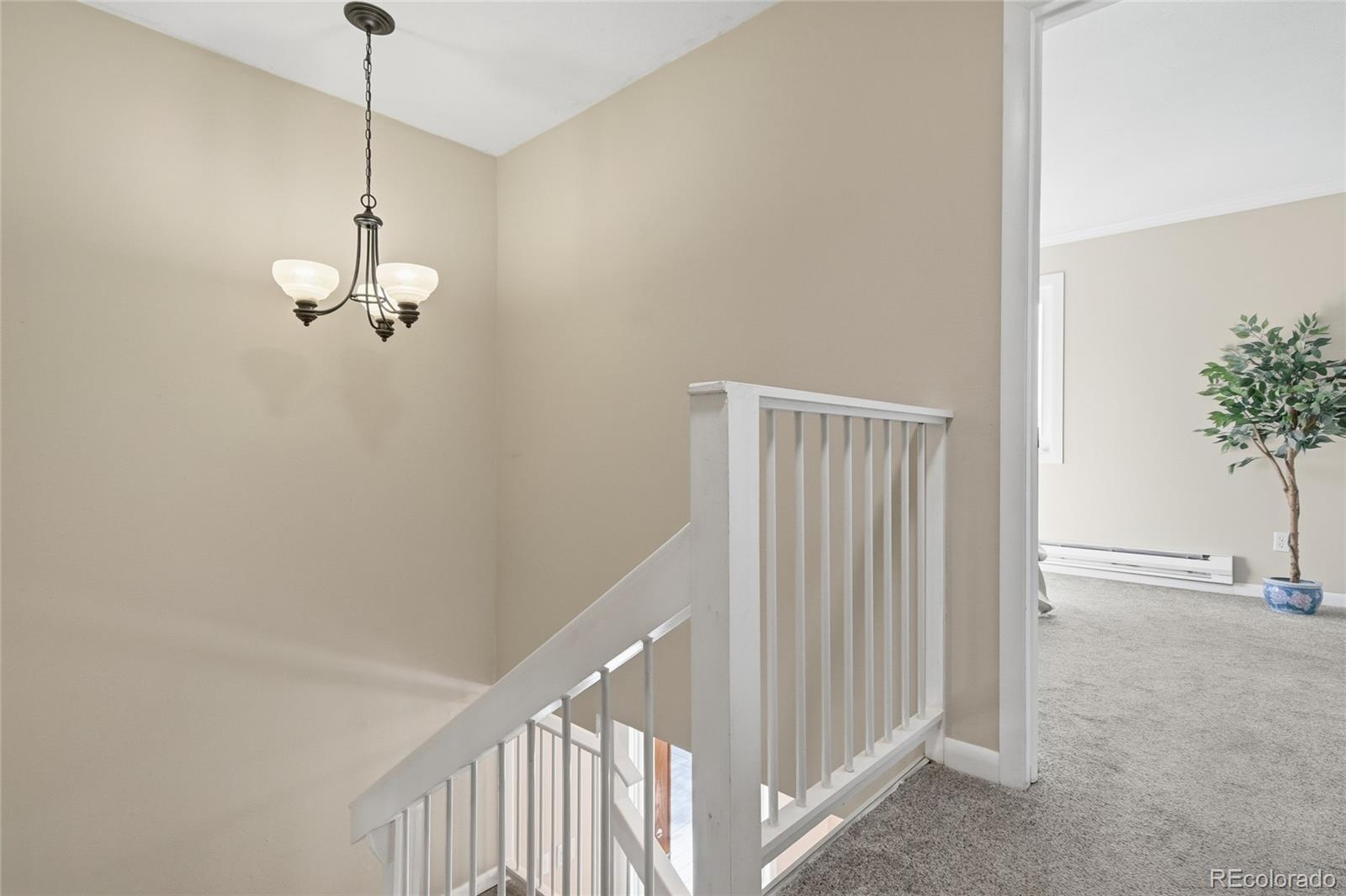 MLS Image #18 for 150  cedar road,evergreen, Colorado