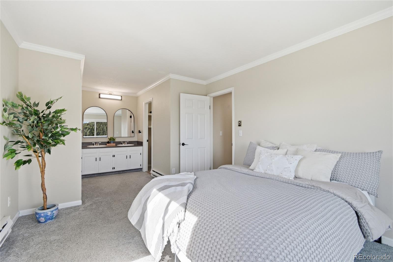 MLS Image #22 for 150  cedar road,evergreen, Colorado