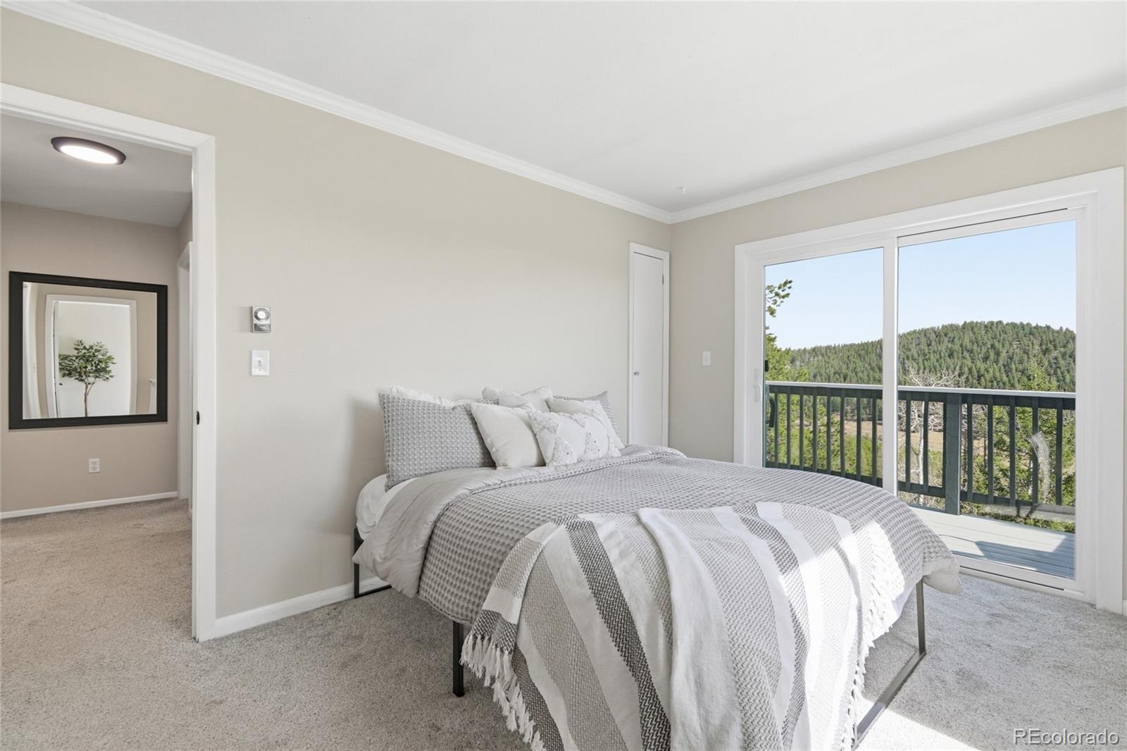 MLS Image #23 for 150  cedar road,evergreen, Colorado