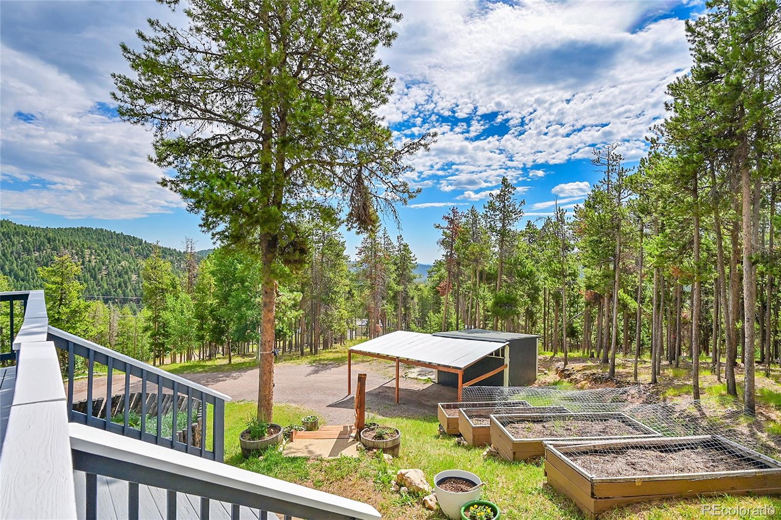 MLS Image #3 for 150  cedar road,evergreen, Colorado