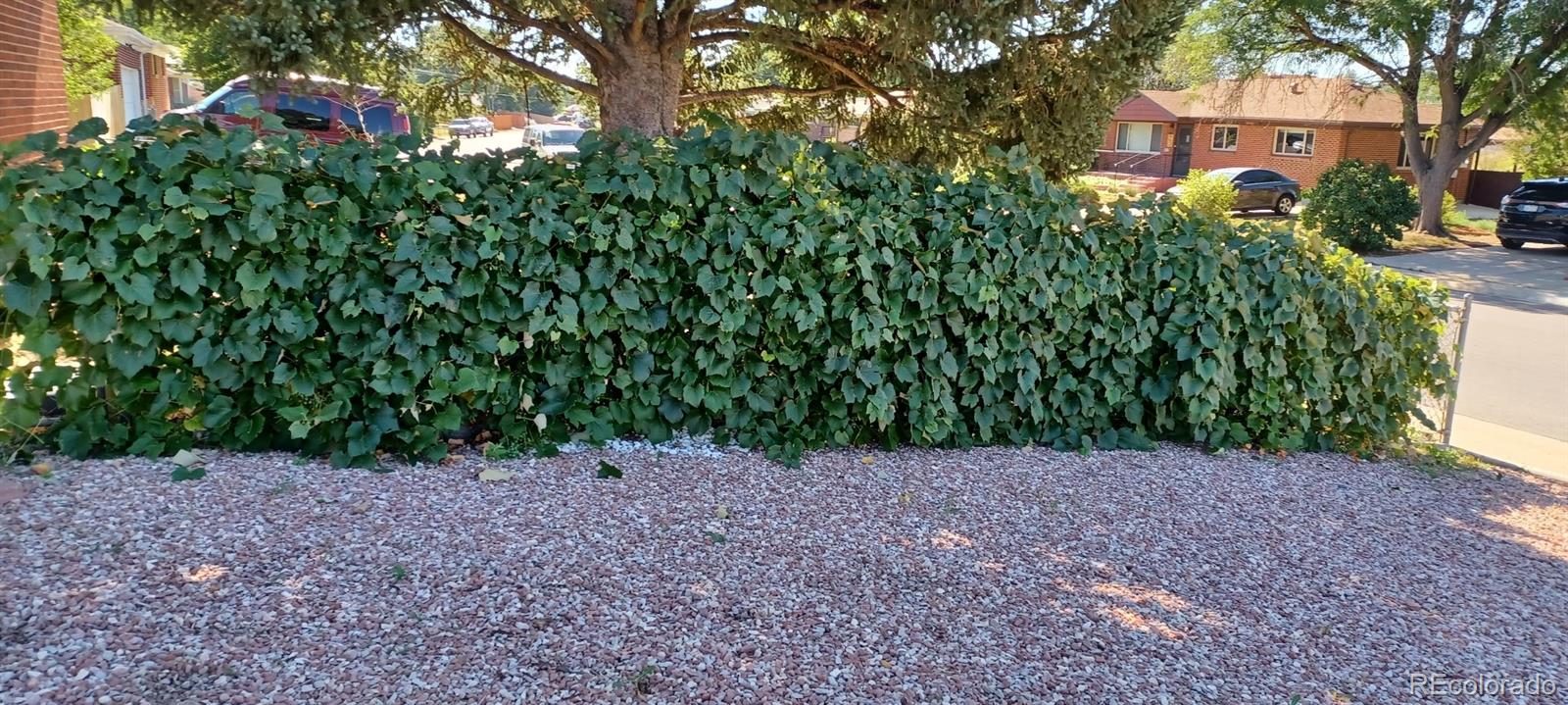 MLS Image #26 for 10642  larson drive,northglenn, Colorado