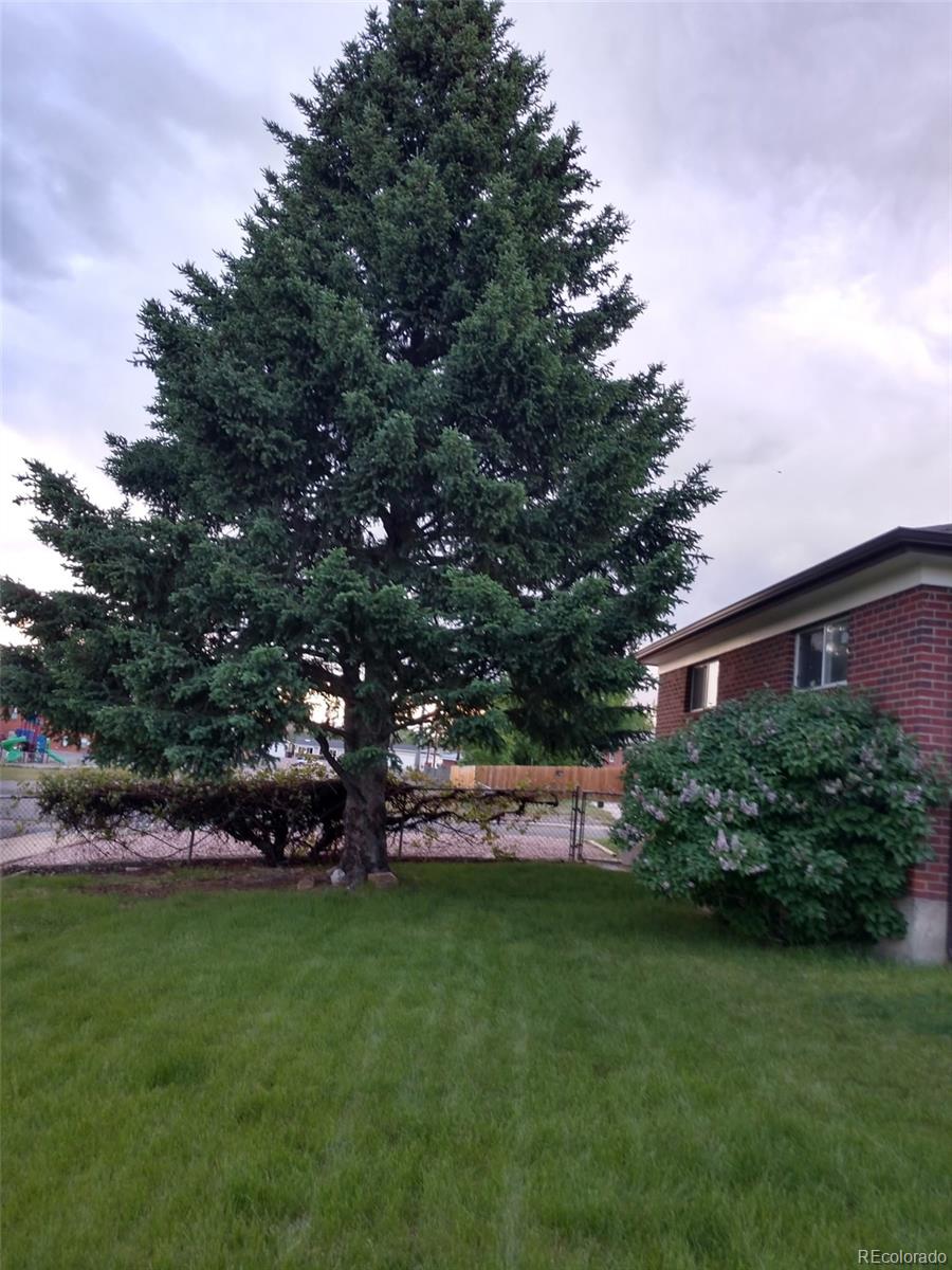 MLS Image #28 for 10642  larson drive,northglenn, Colorado