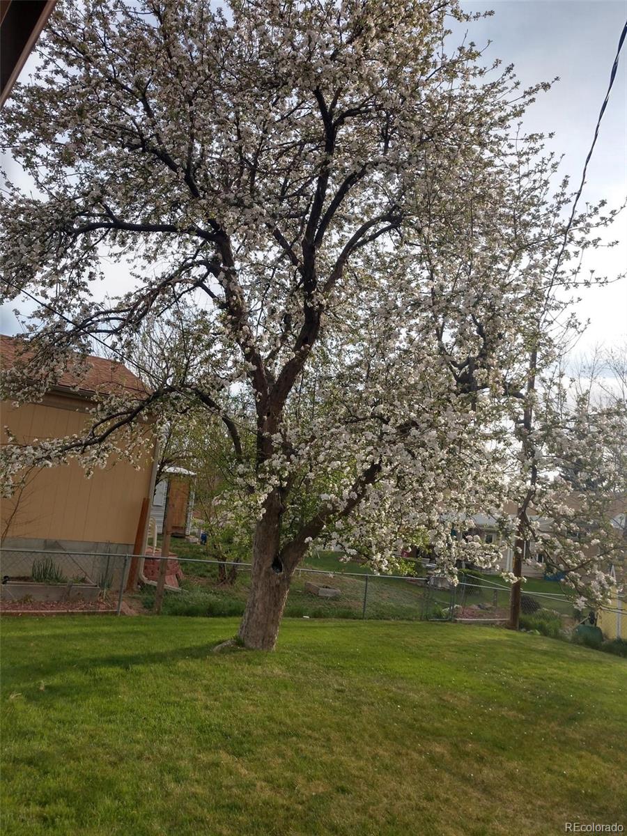 MLS Image #30 for 10642  larson drive,northglenn, Colorado