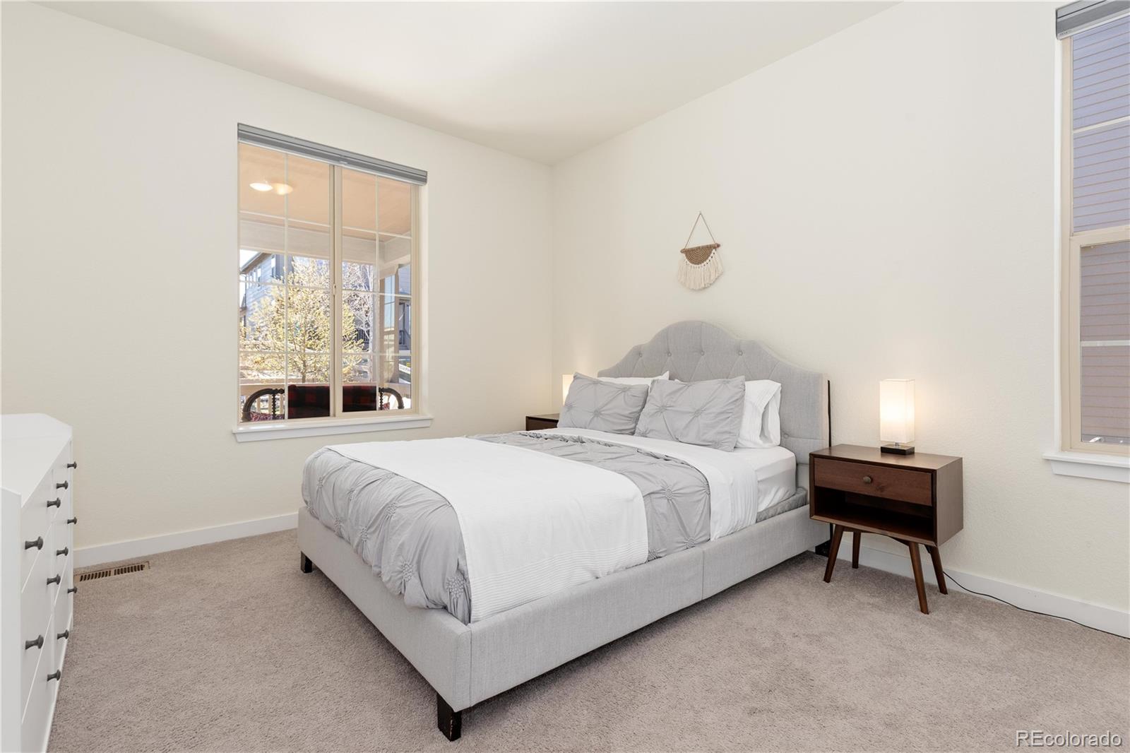 MLS Image #14 for 9720  taylor river circle,littleton, Colorado