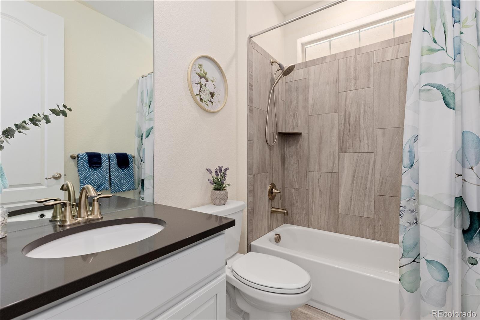 MLS Image #17 for 9720  taylor river circle,littleton, Colorado