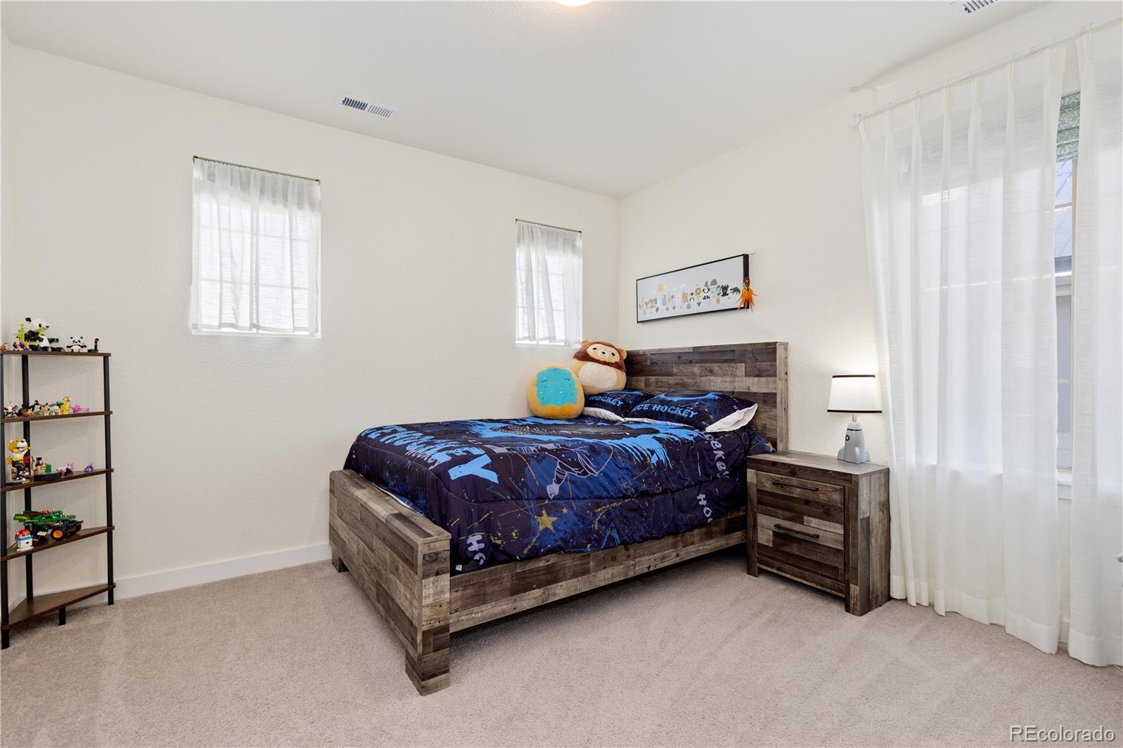 MLS Image #29 for 9720  taylor river circle,littleton, Colorado