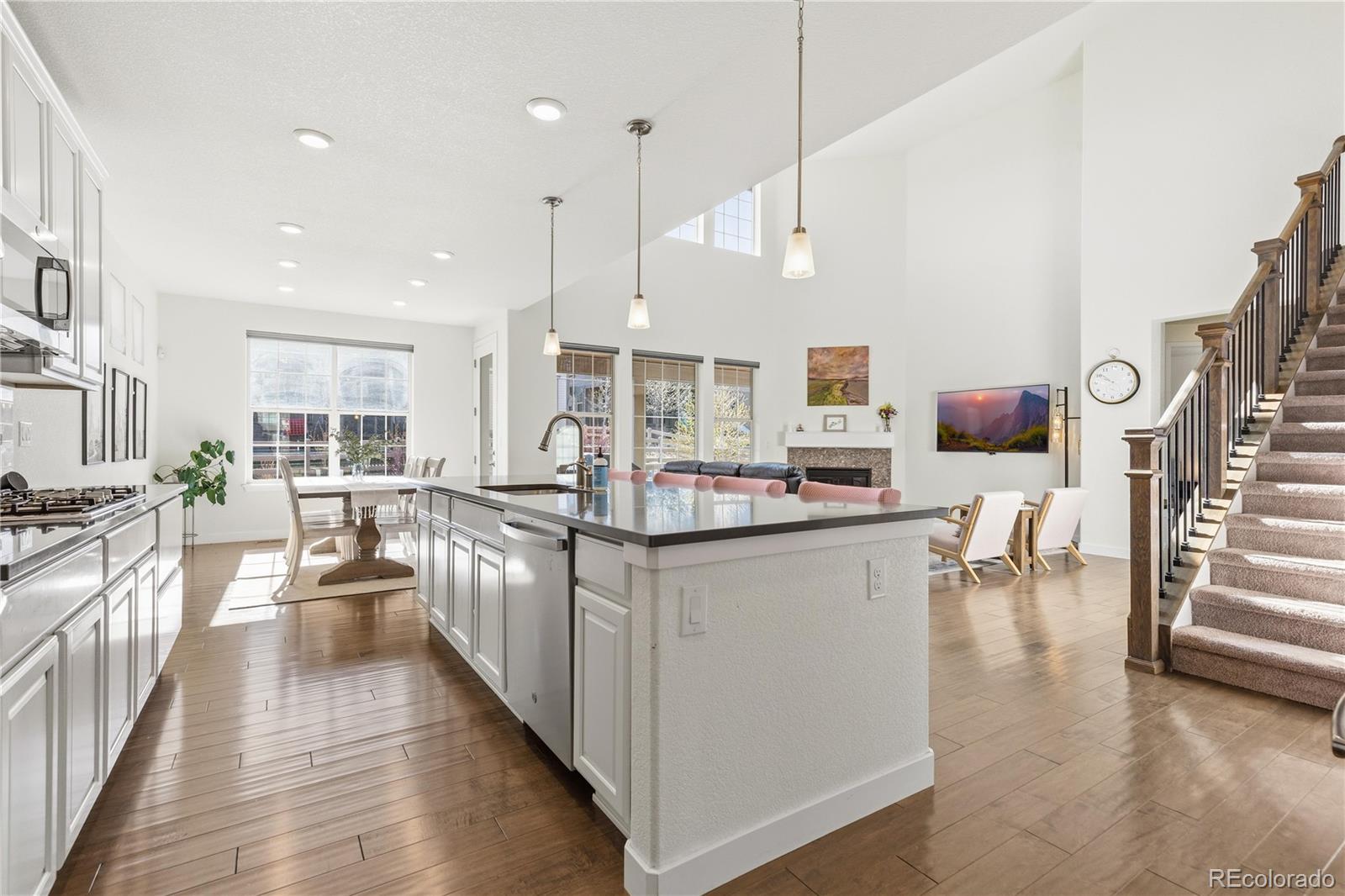 MLS Image #8 for 9720  taylor river circle,littleton, Colorado