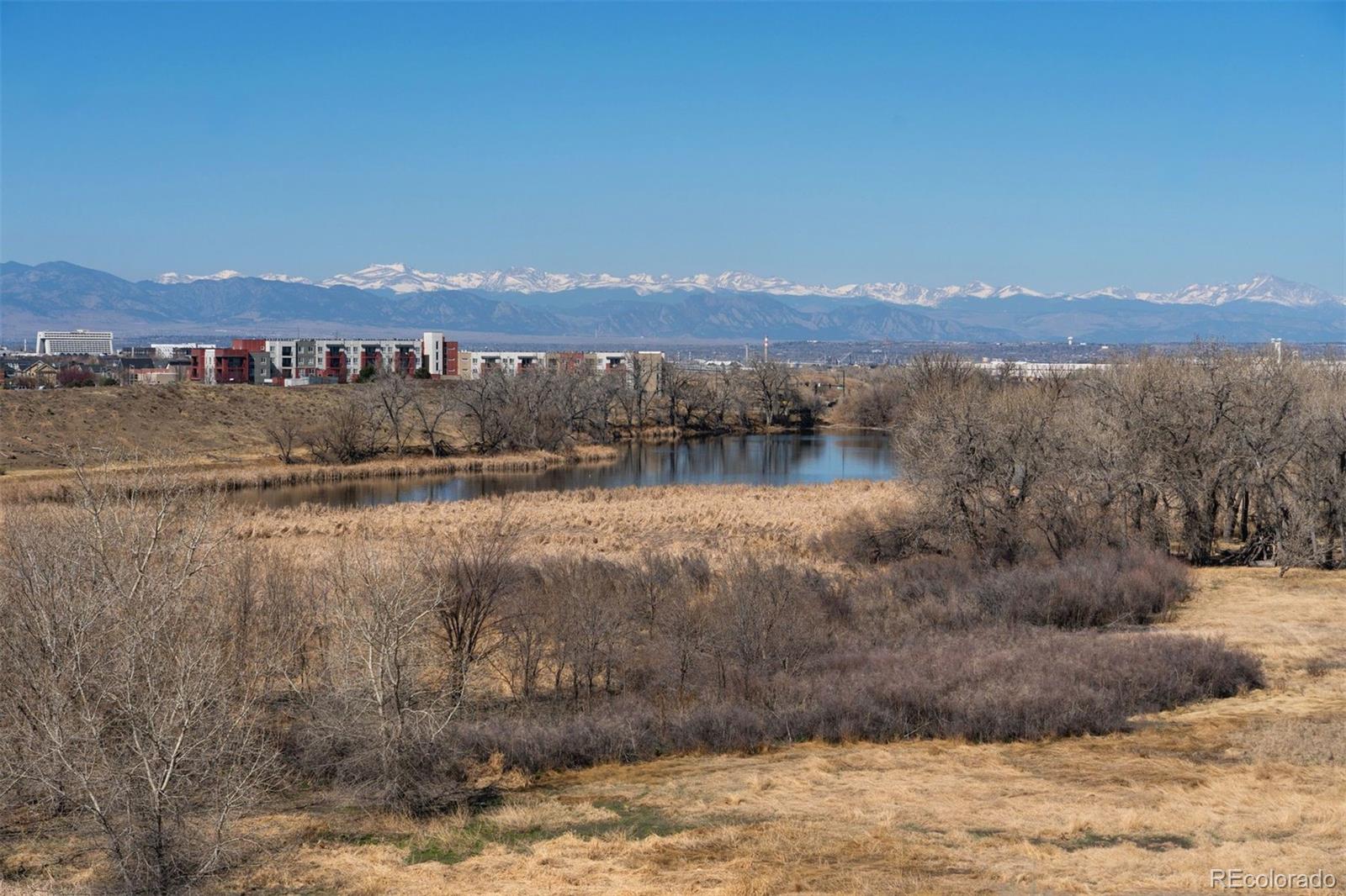 MLS Image #32 for 10128 e 29th drive ,denver, Colorado