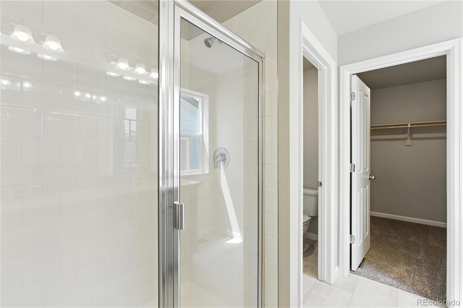 MLS Image #6 for 304  shoveler way,johnstown, Colorado