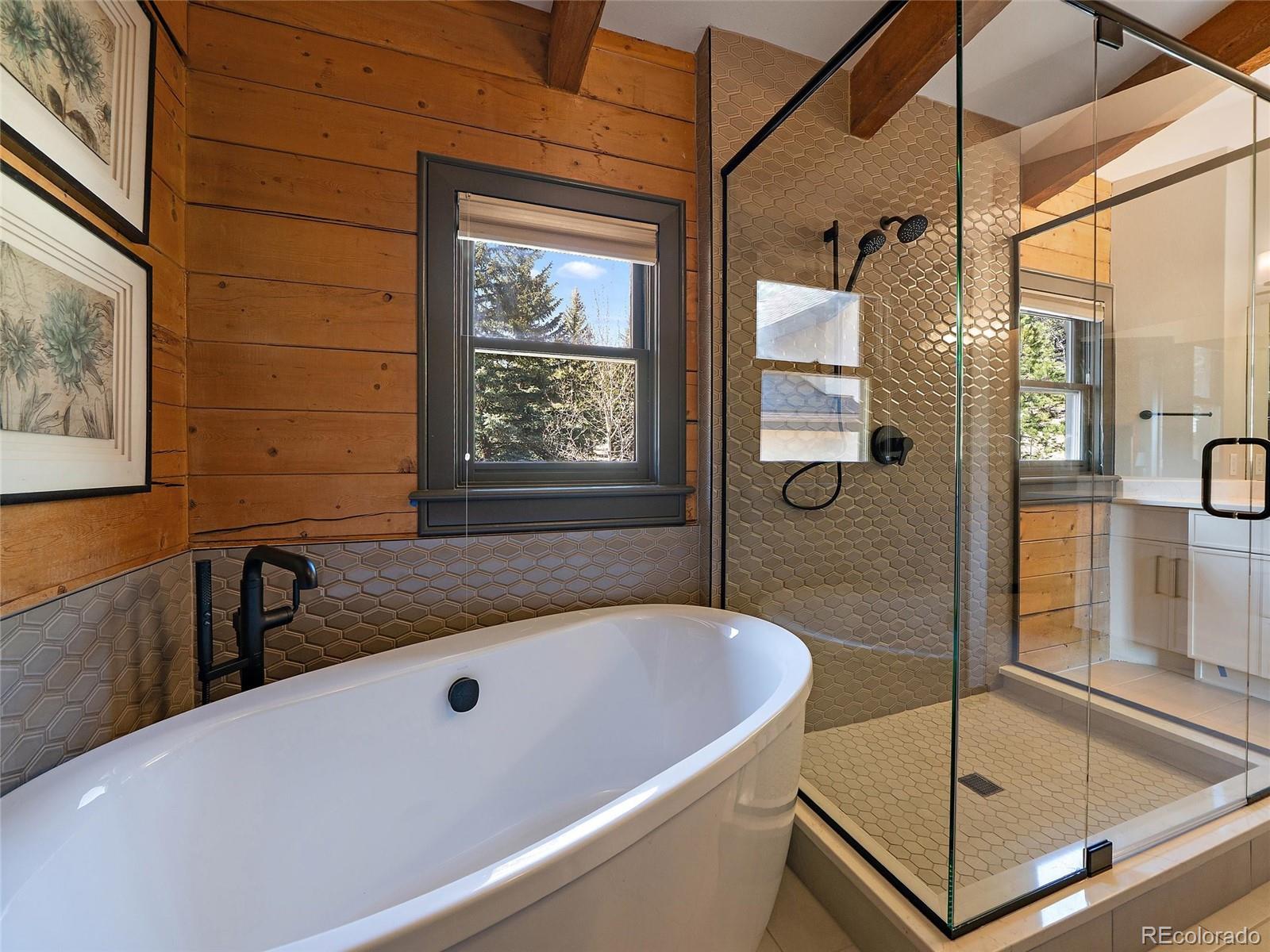 MLS Image #18 for 24  pine valley road,evergreen, Colorado