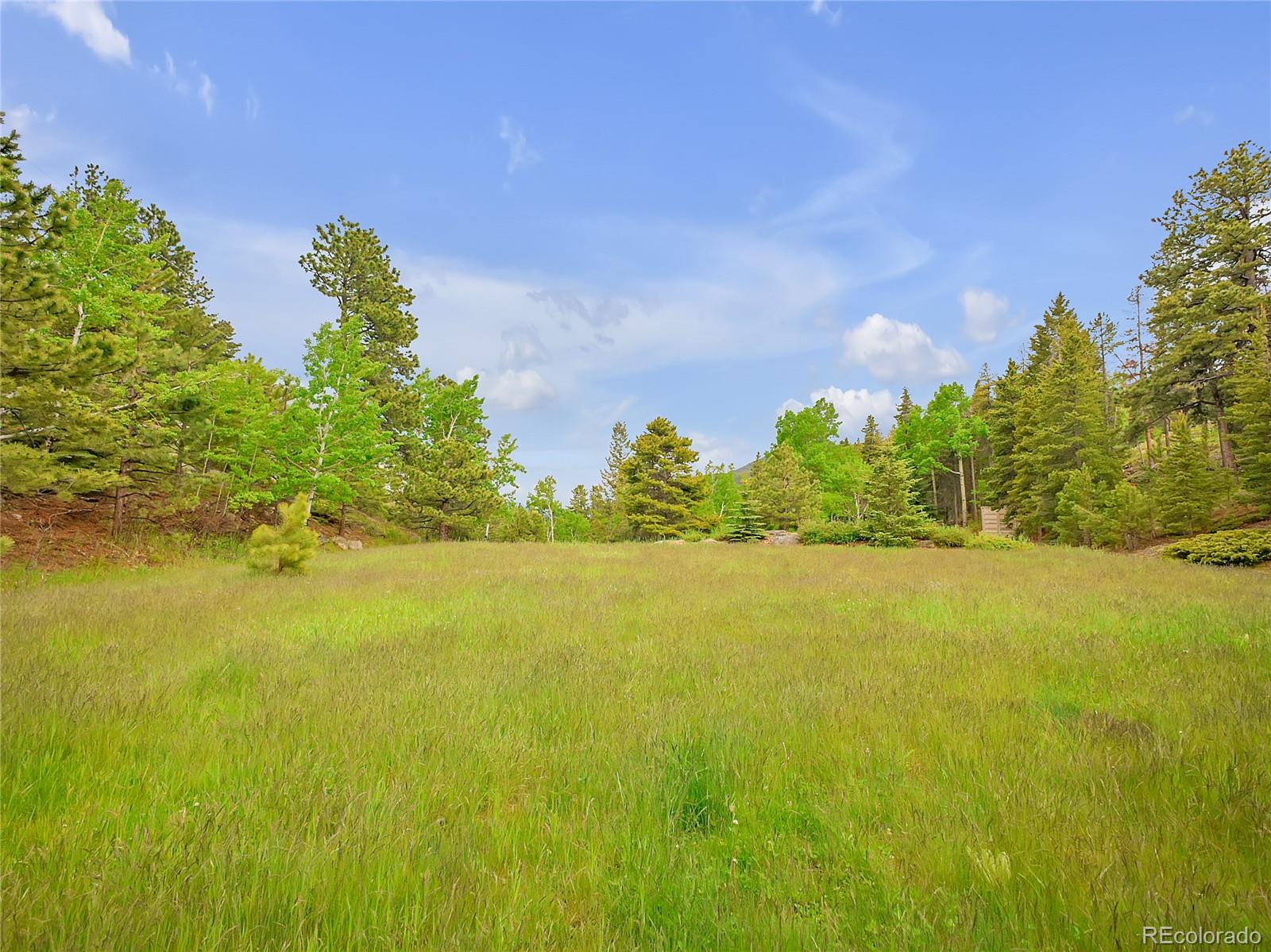MLS Image #41 for 24  pine valley road,evergreen, Colorado