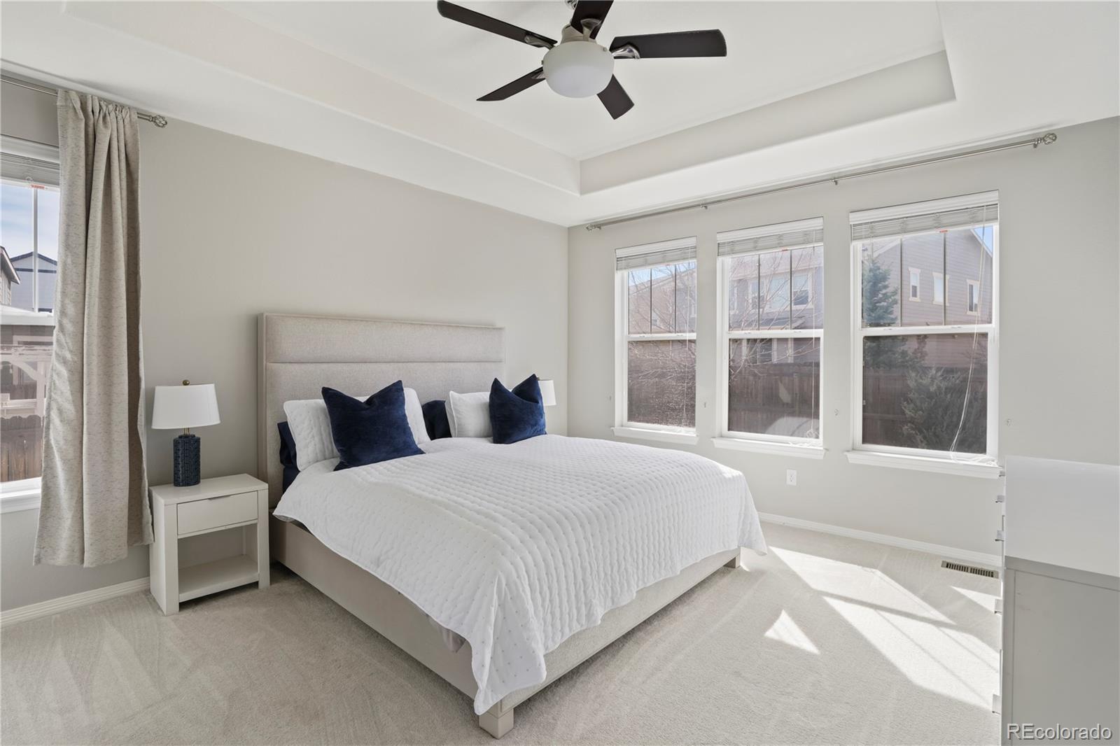 MLS Image #8 for 14850  munich avenue,parker, Colorado