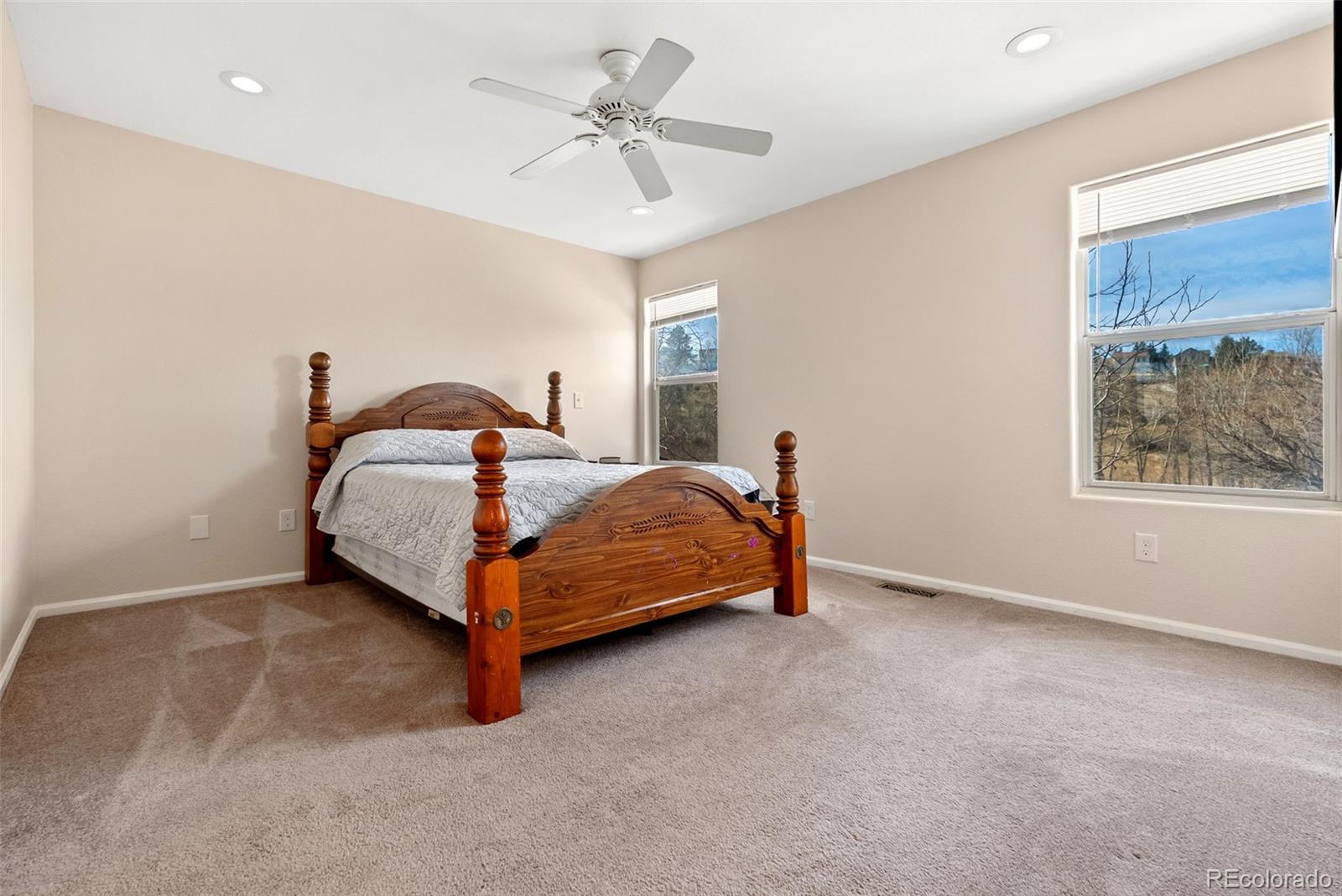 MLS Image #13 for 21764  silver meadow lane,parker, Colorado