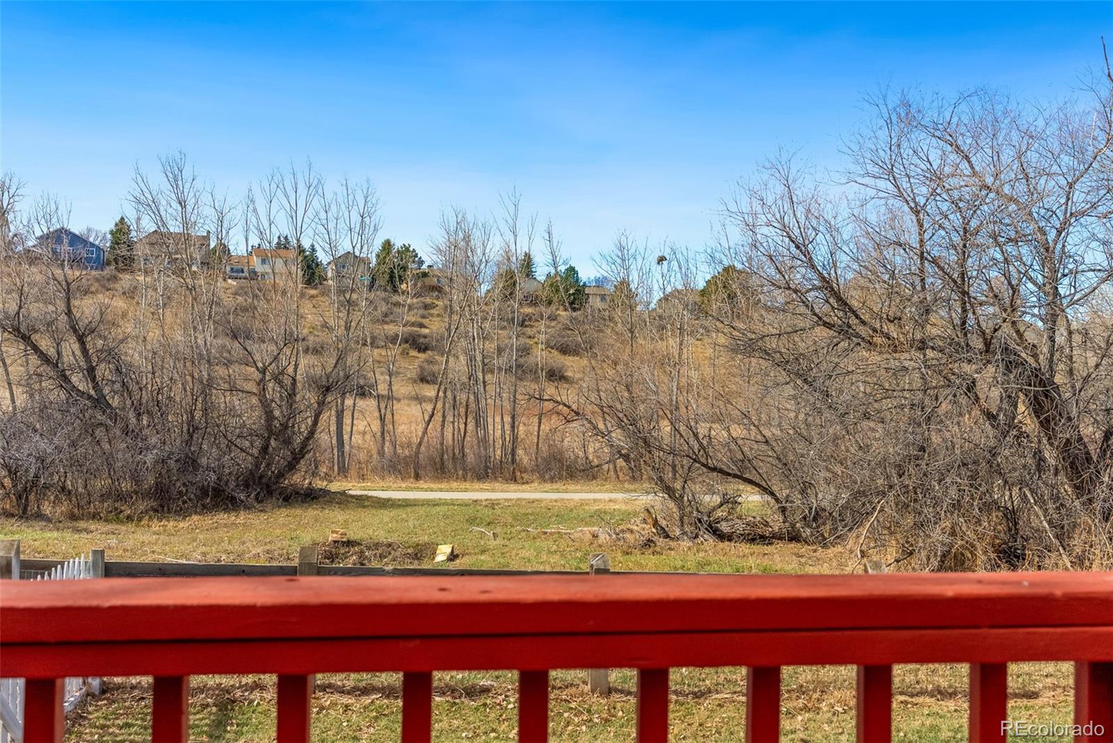 MLS Image #18 for 21764  silver meadow lane,parker, Colorado