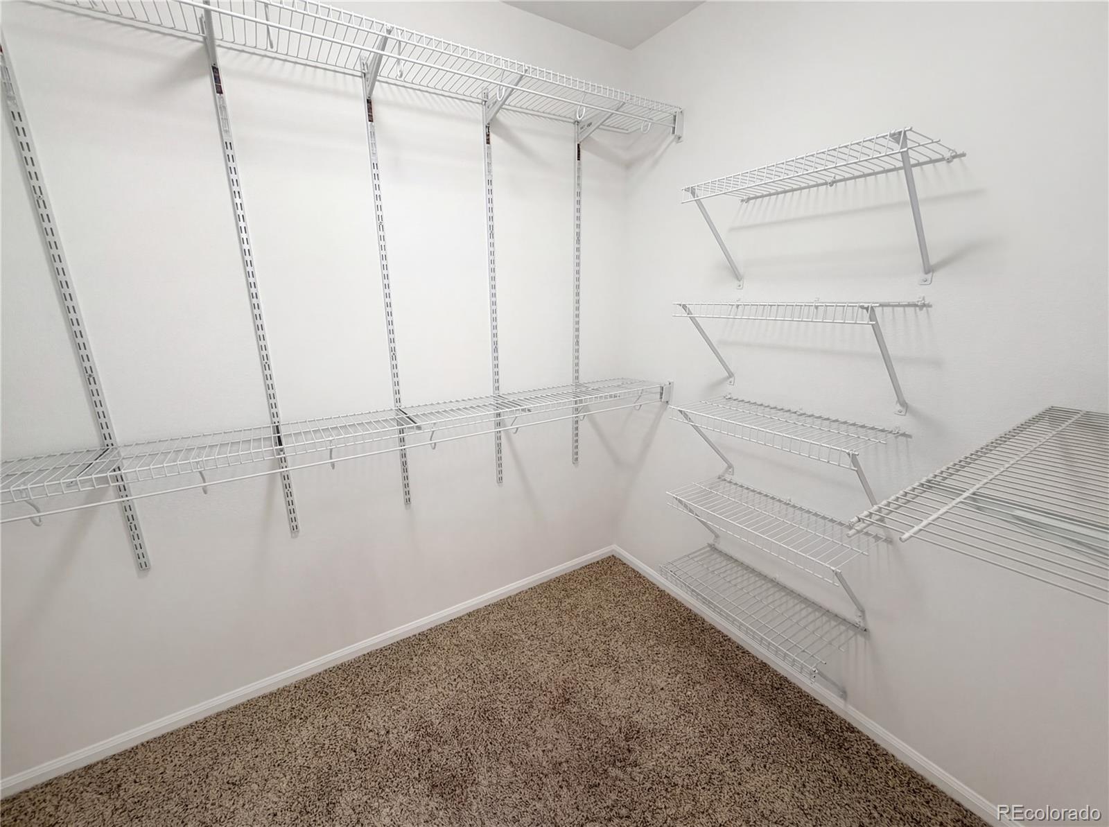 MLS Image #23 for 12473 s arcaro creek court,parker, Colorado