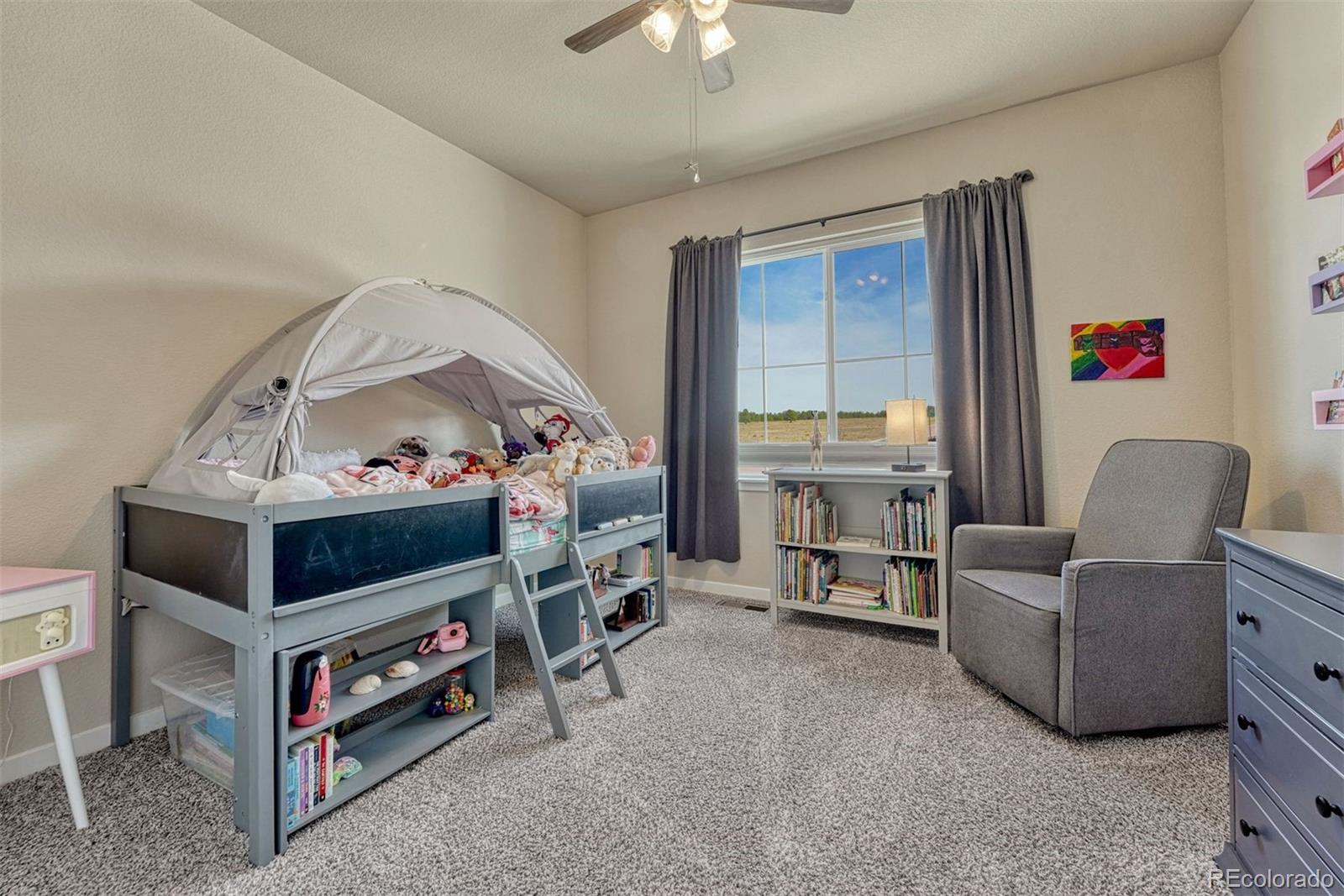 MLS Image #14 for 3203  red cavern road,colorado springs, Colorado