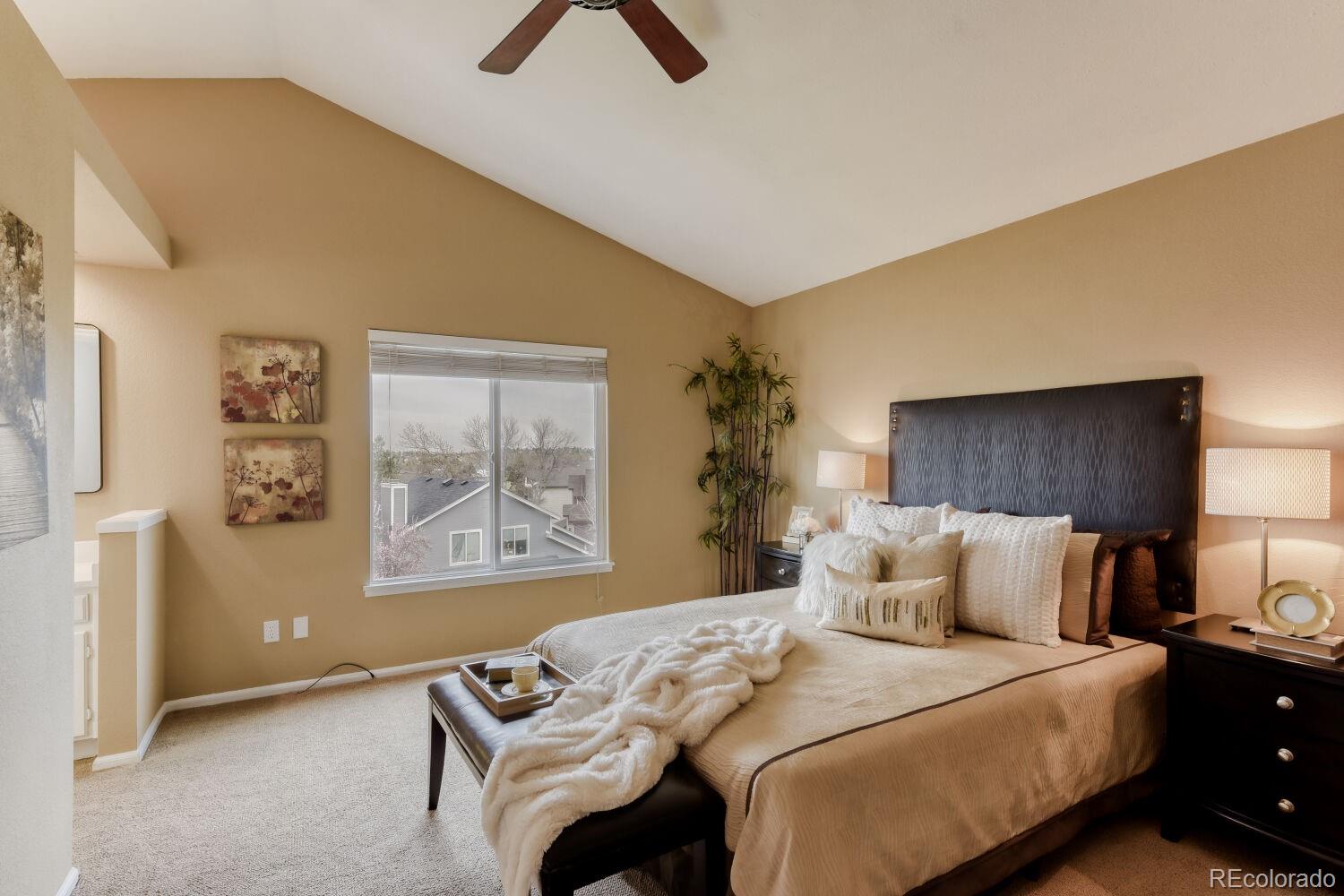 MLS Image #11 for 9378  shadowglen court,highlands ranch, Colorado